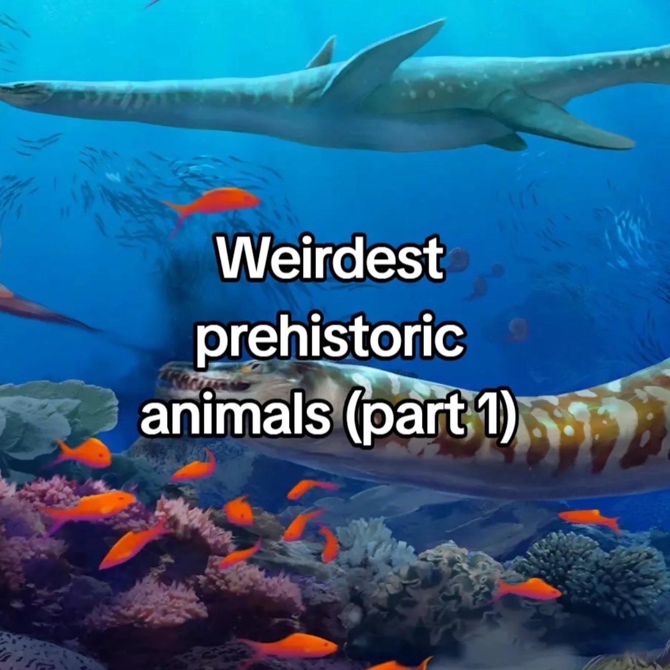 @67historyfacts