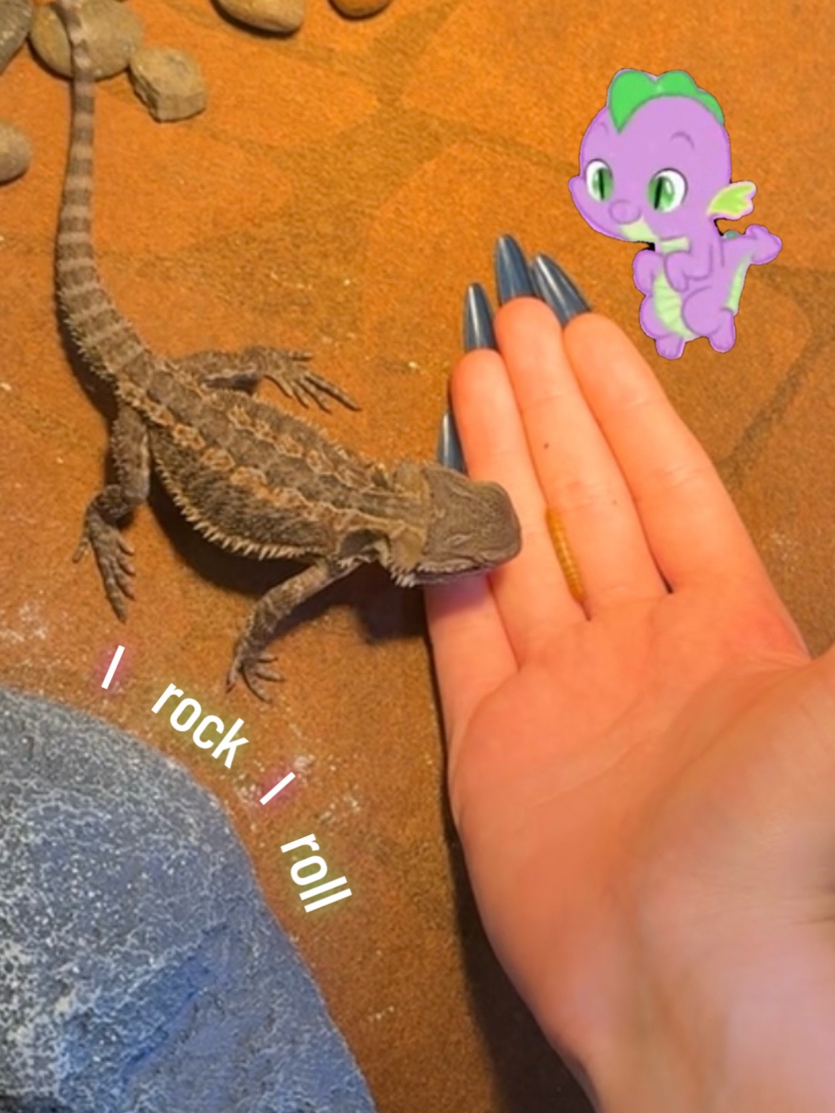 @ᛚᛁᛚᛁᚨᚾᚾ🪲