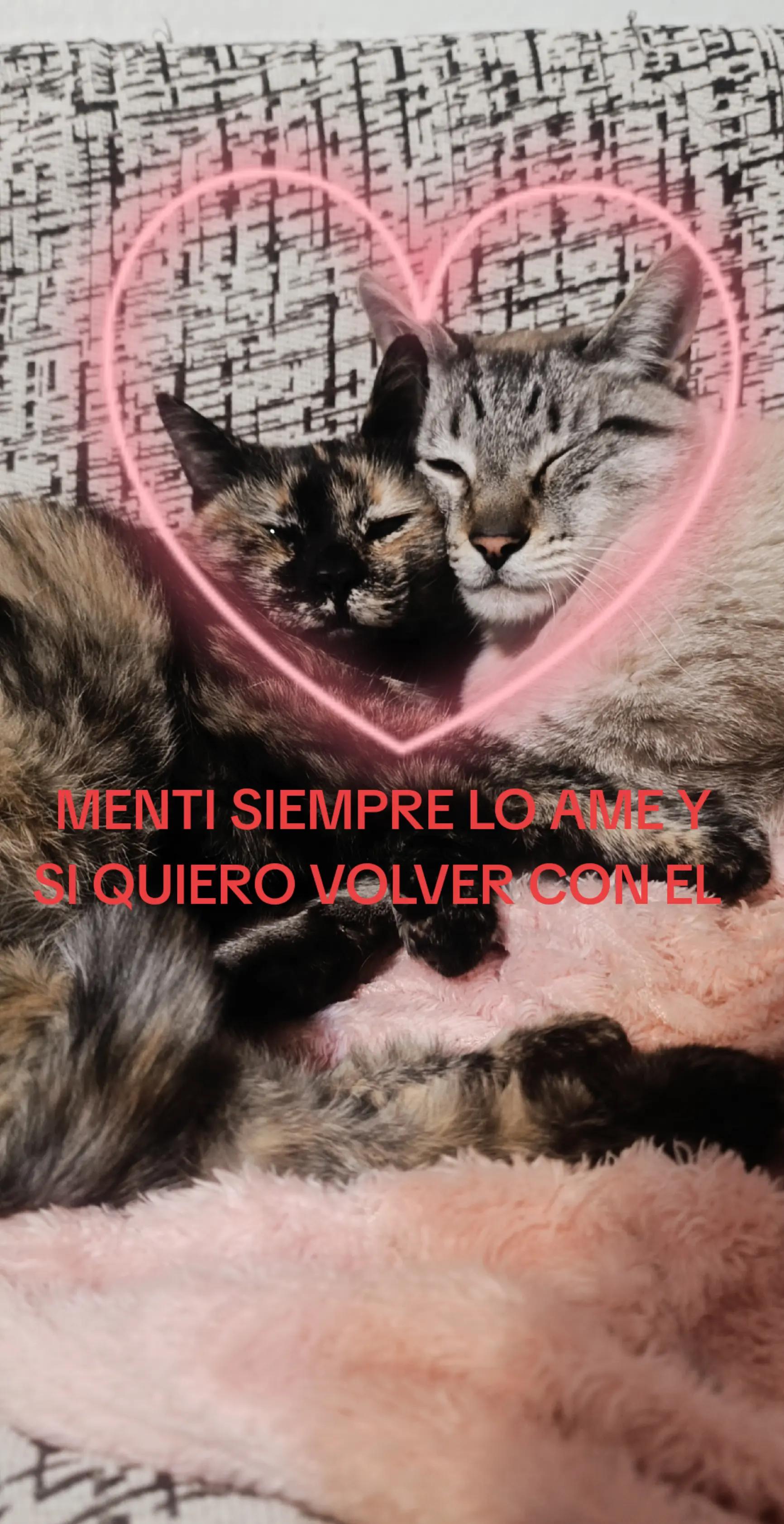 @Androidoko67