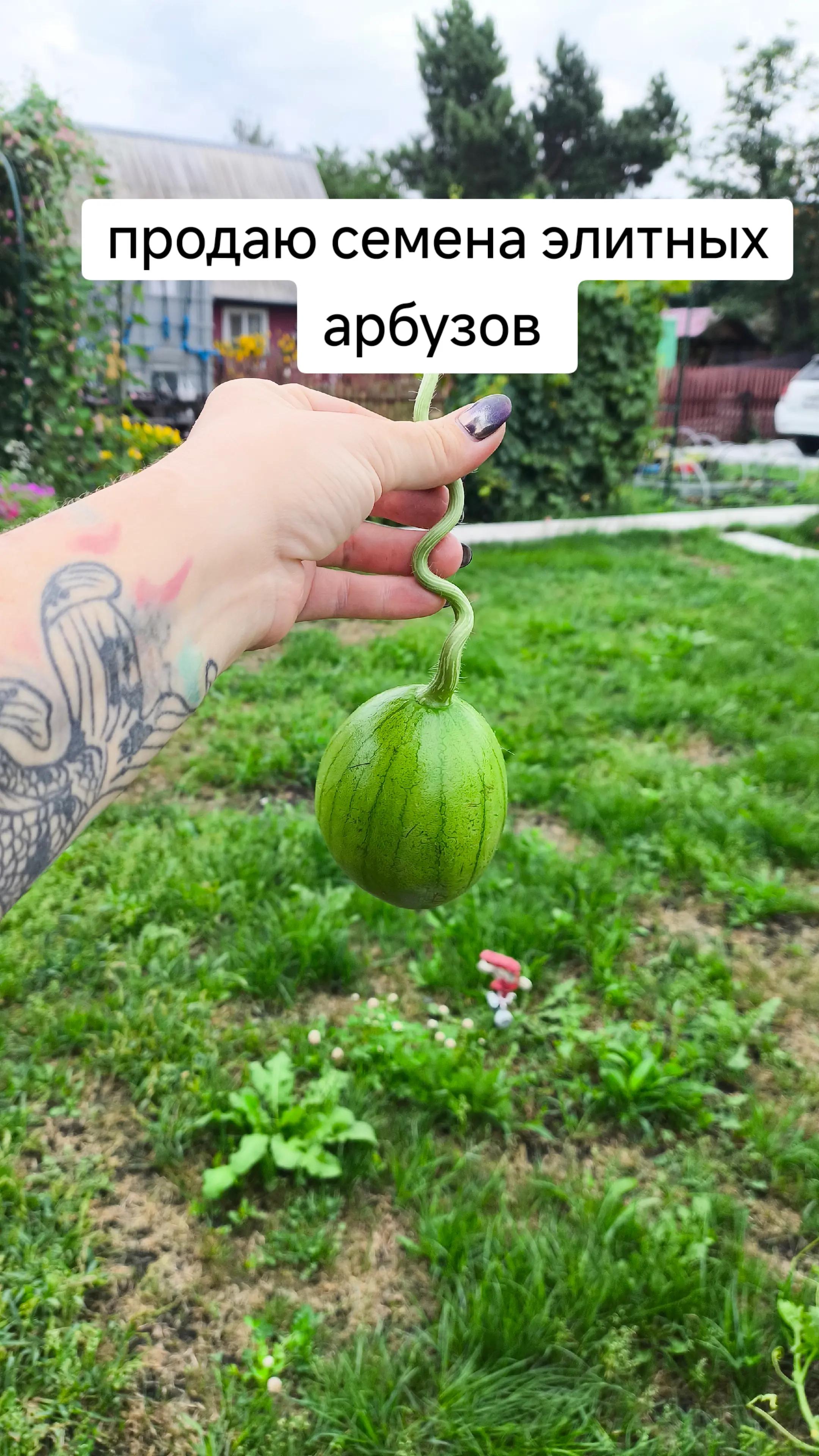 @Женя Садовая