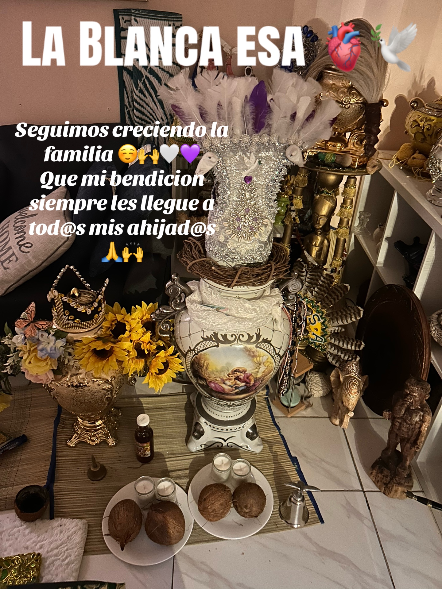 @Lacasadeeggun🤍🖤