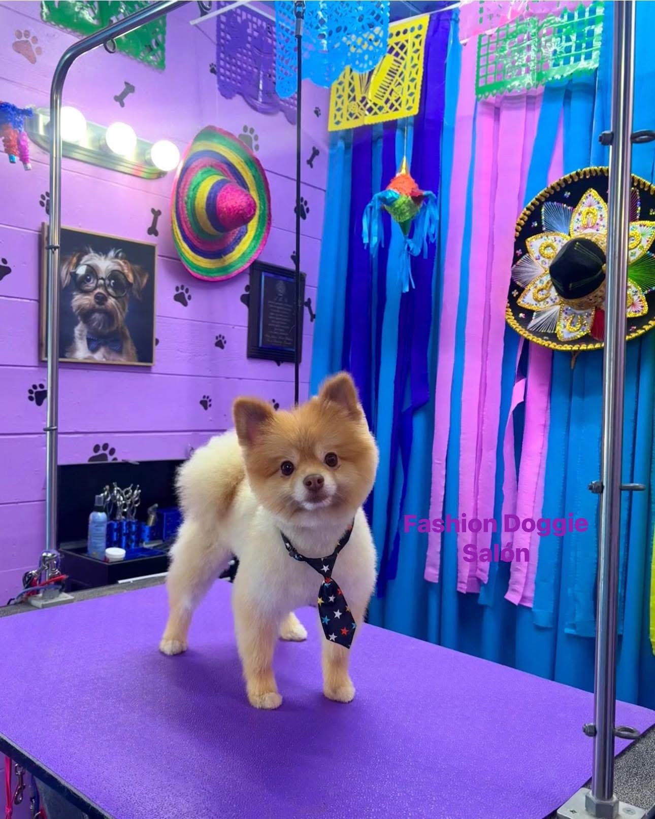 @fashion.doggie.salon