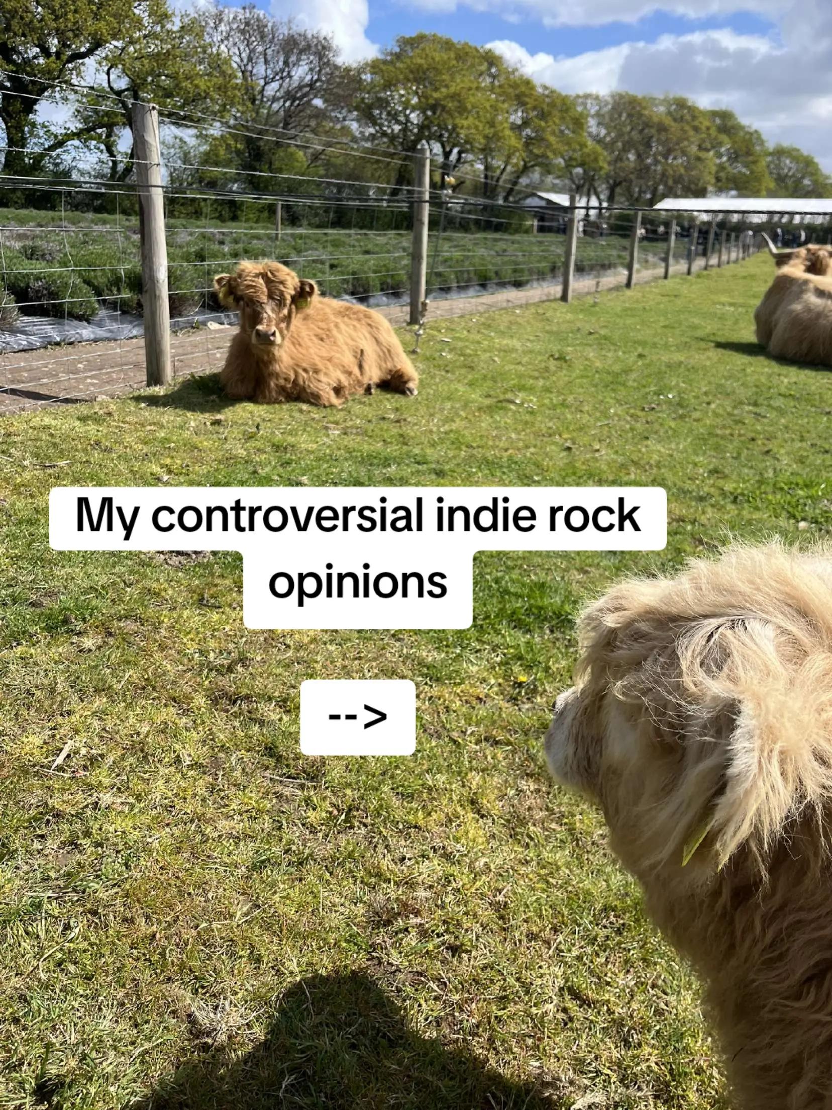 @Cornish Indie Rock Guy