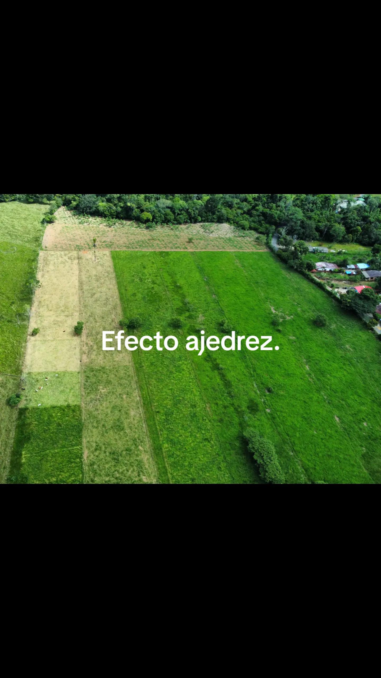 @SuperNovaRegenerative