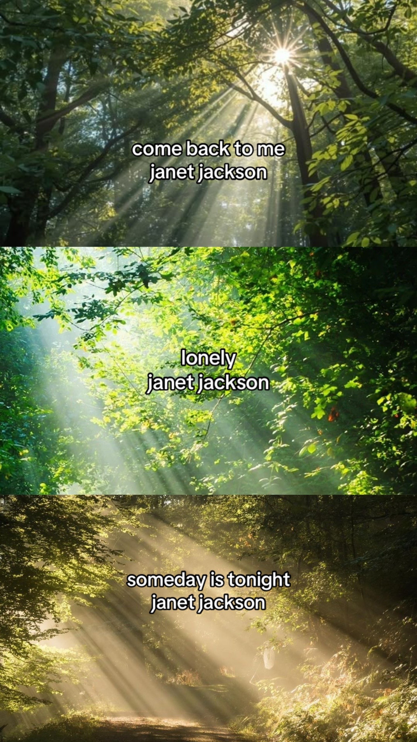 @velvetjanet
