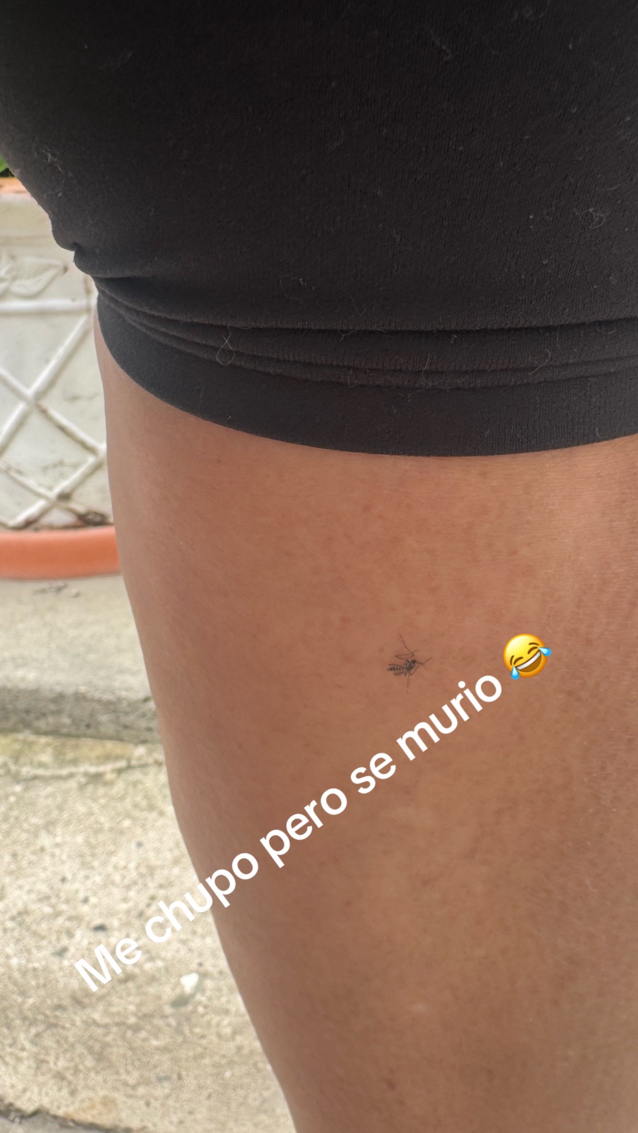 @Elizabeth27