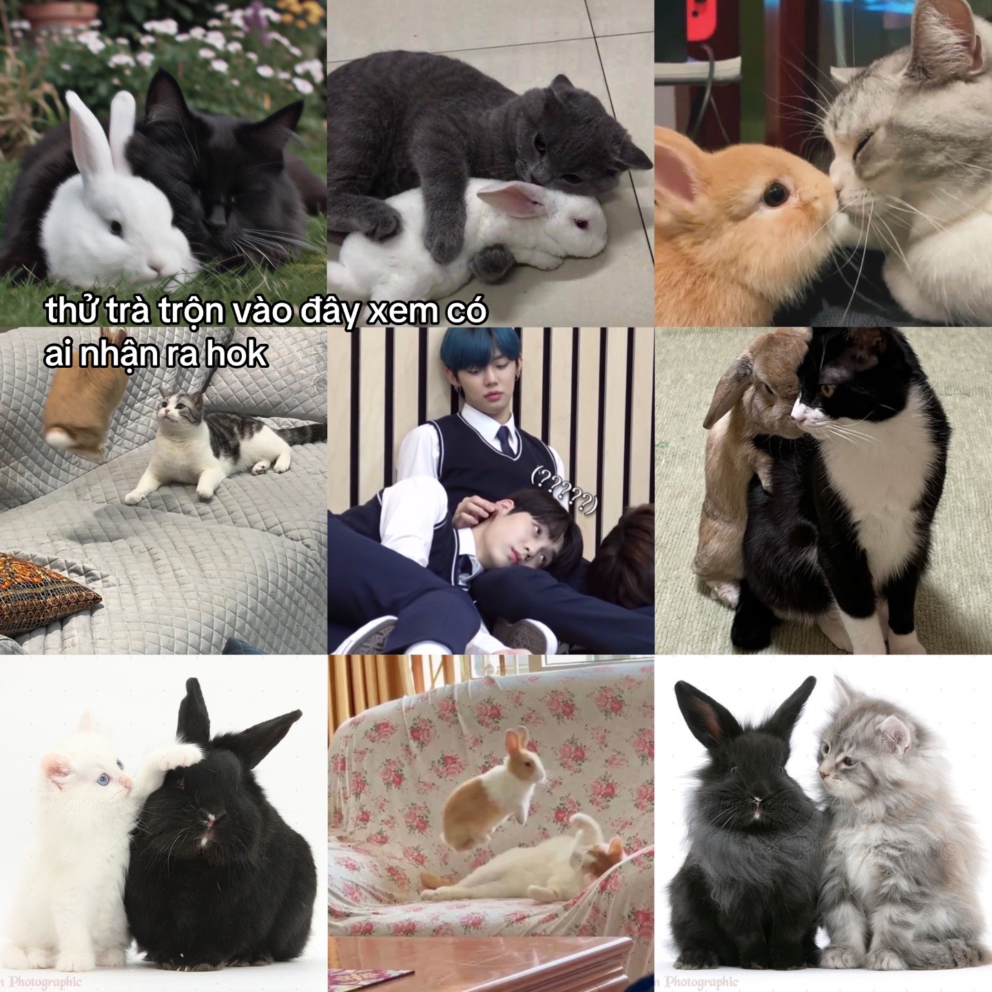 @𝘺𝘶🐰