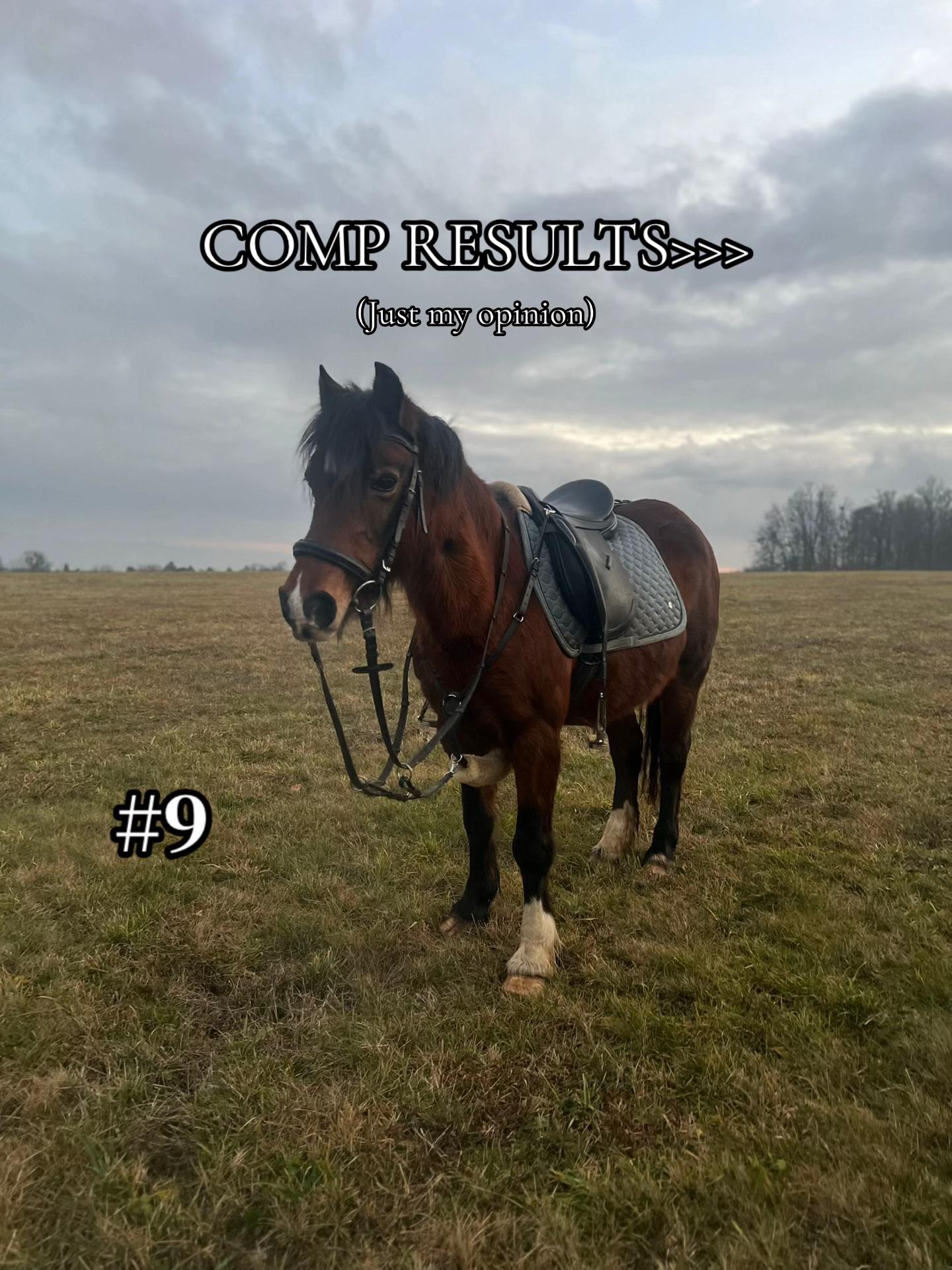 @equestrian._comps