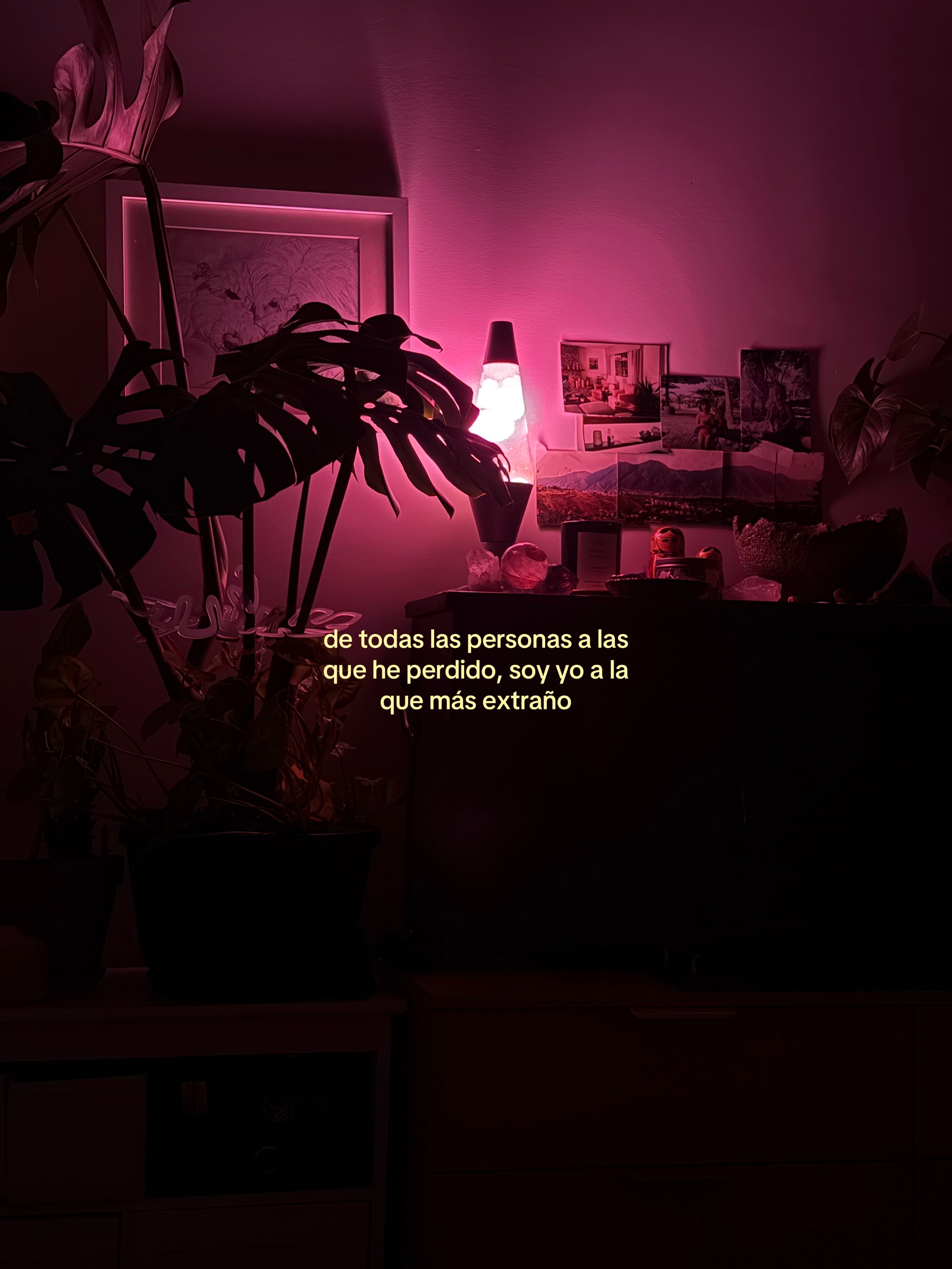 @mind your garden