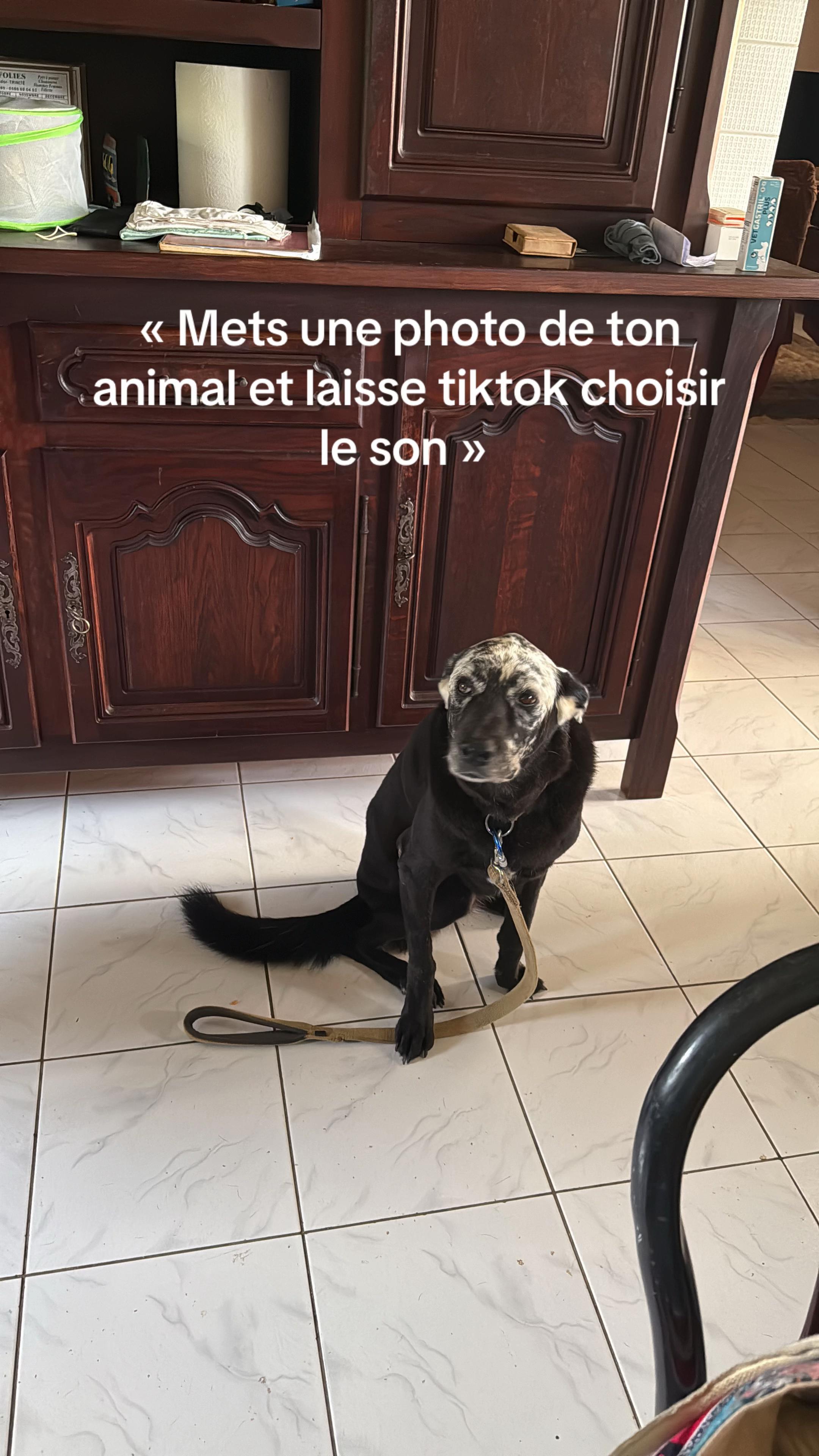 @Cajou
