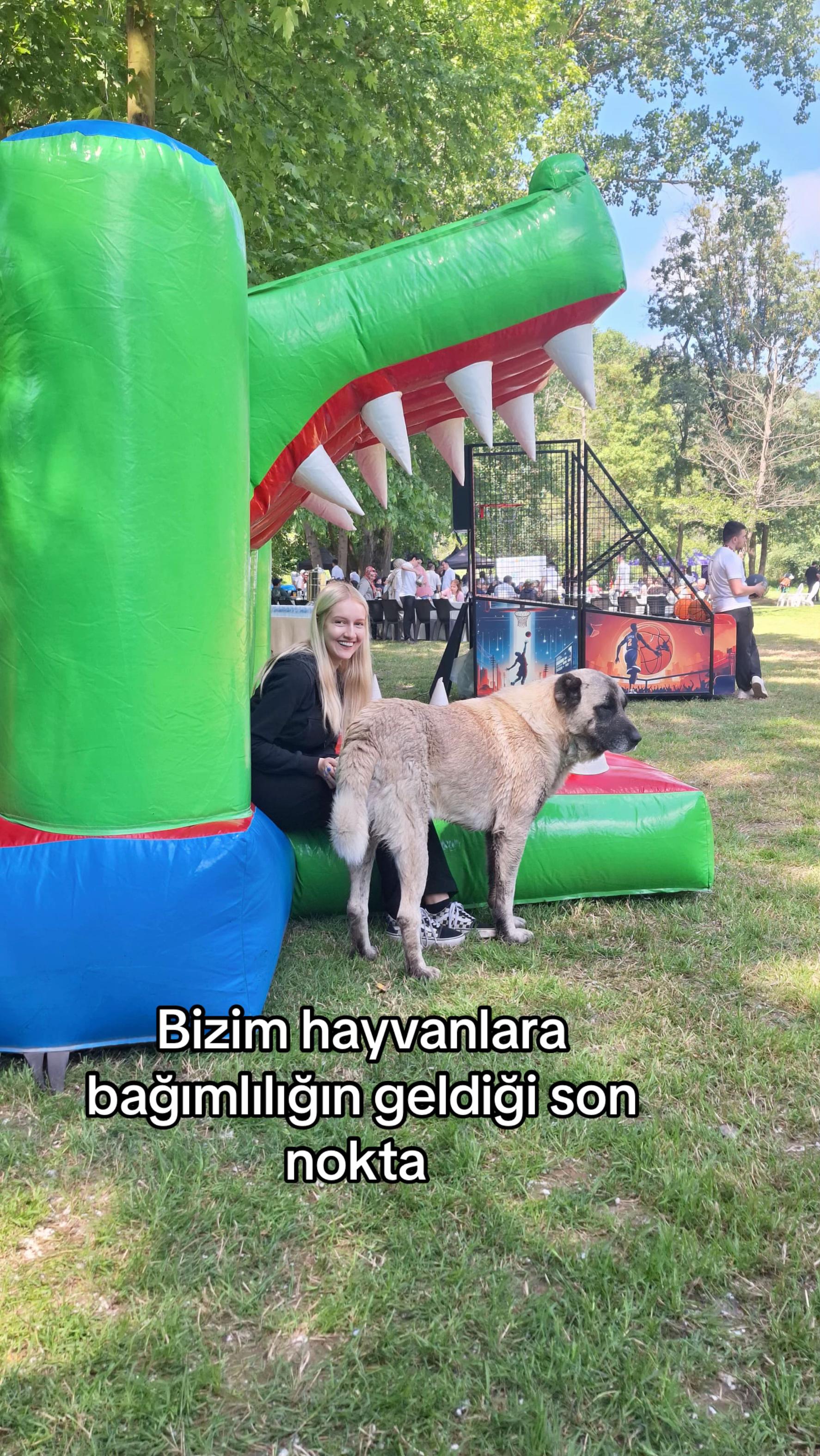 @Bery