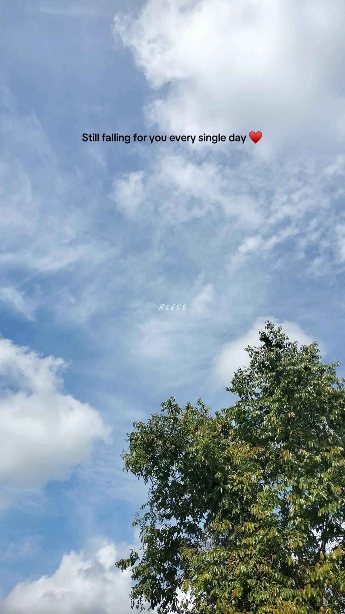 @B L E S S