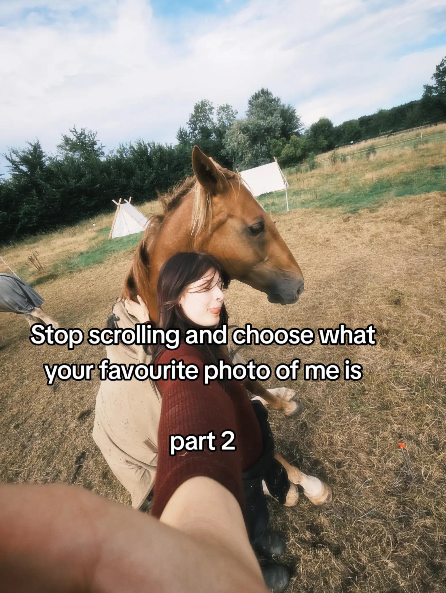 @Dino and horses