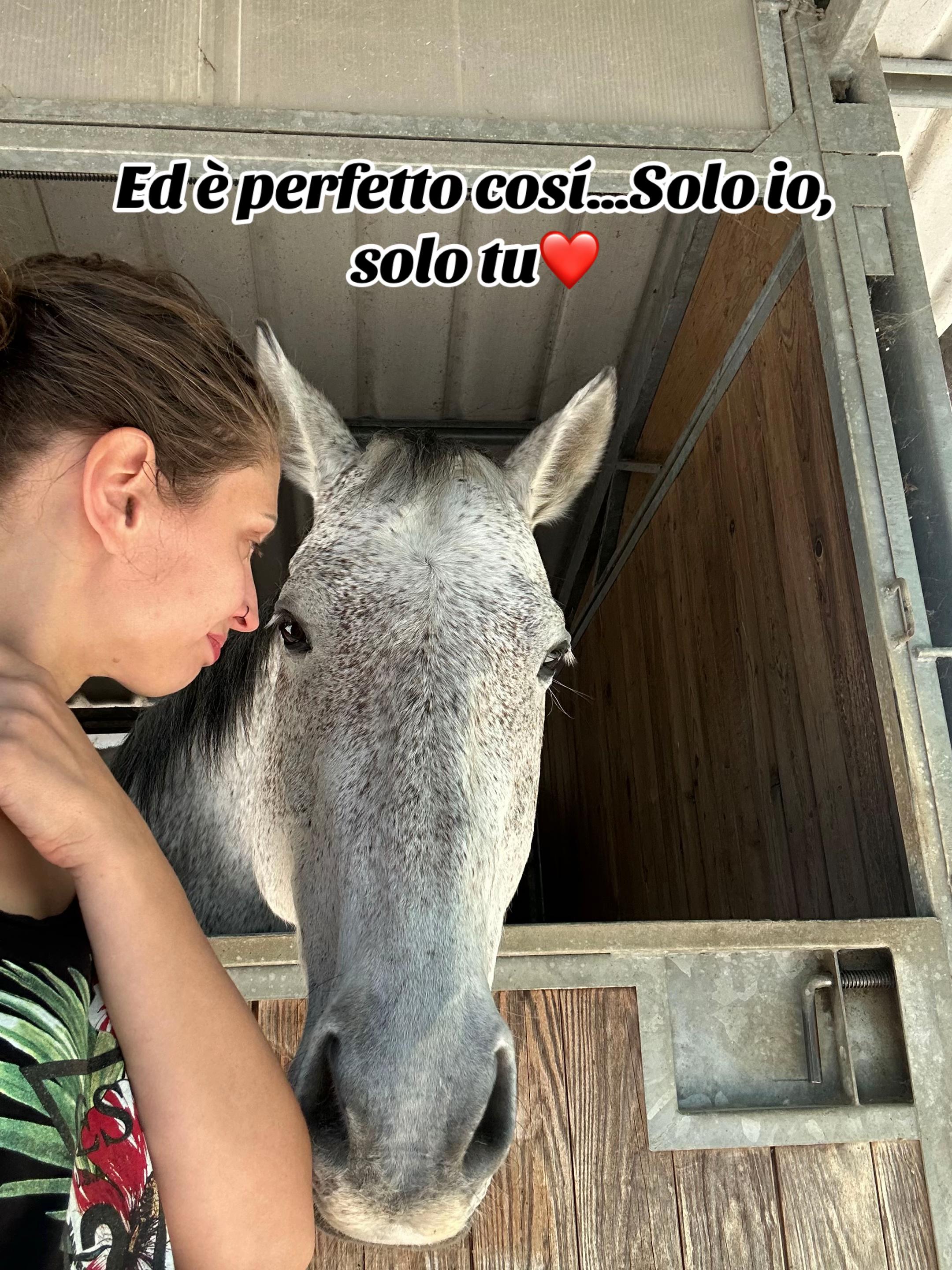 @Passione animali ❤️