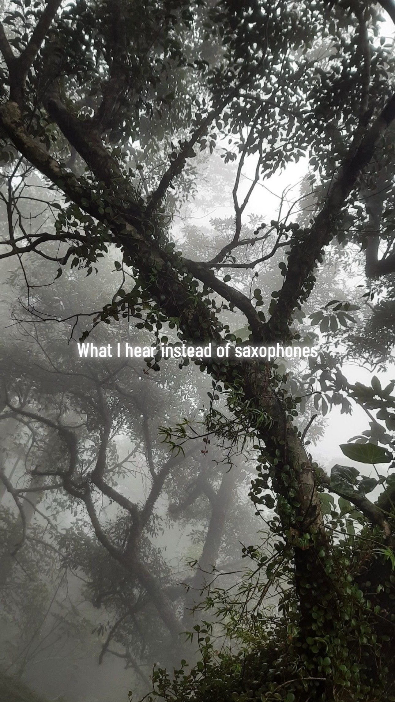 @𝓗𝓮𝓪𝓿3𝓷.𝓵𝓮𝔂