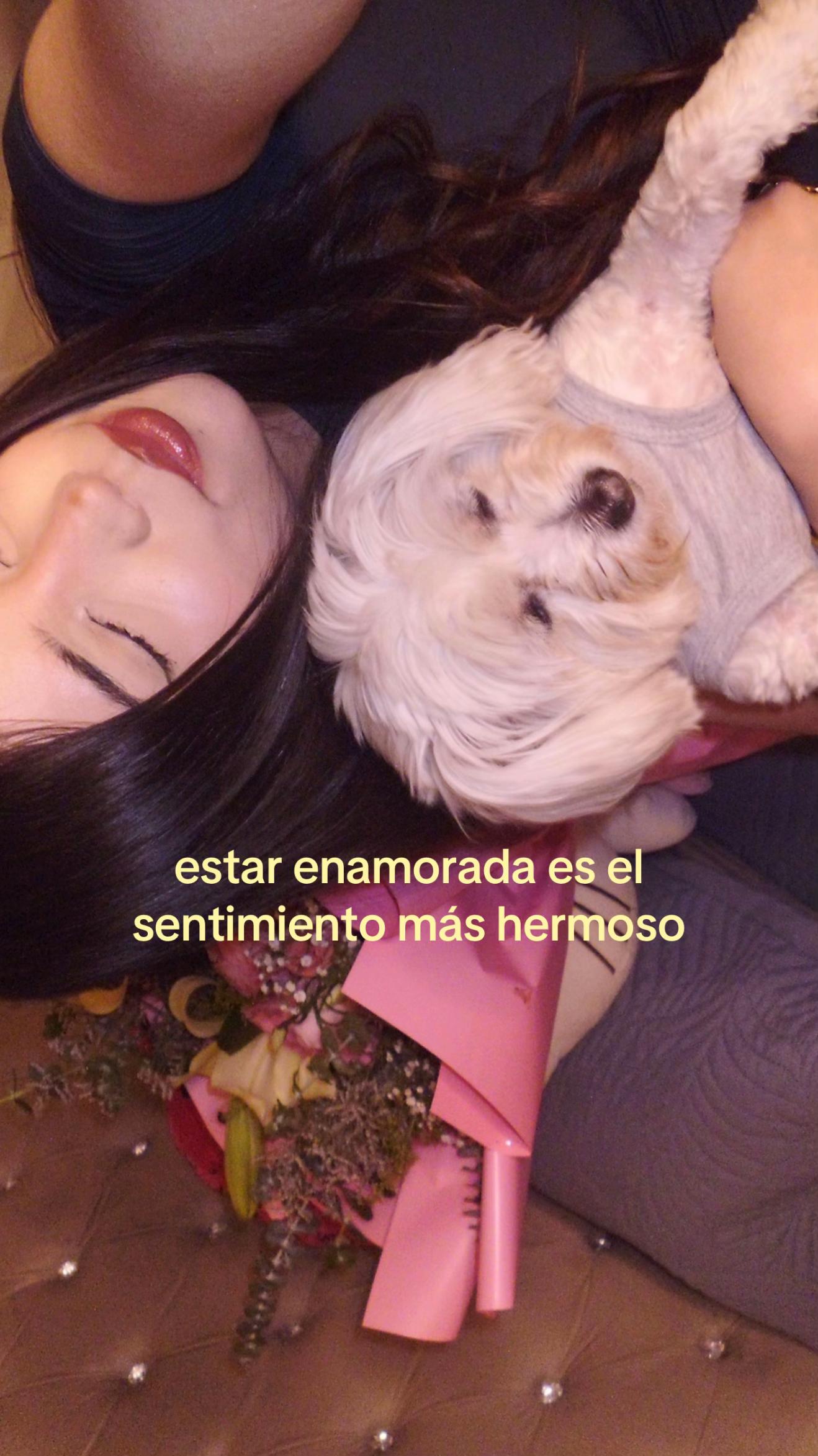 @eve