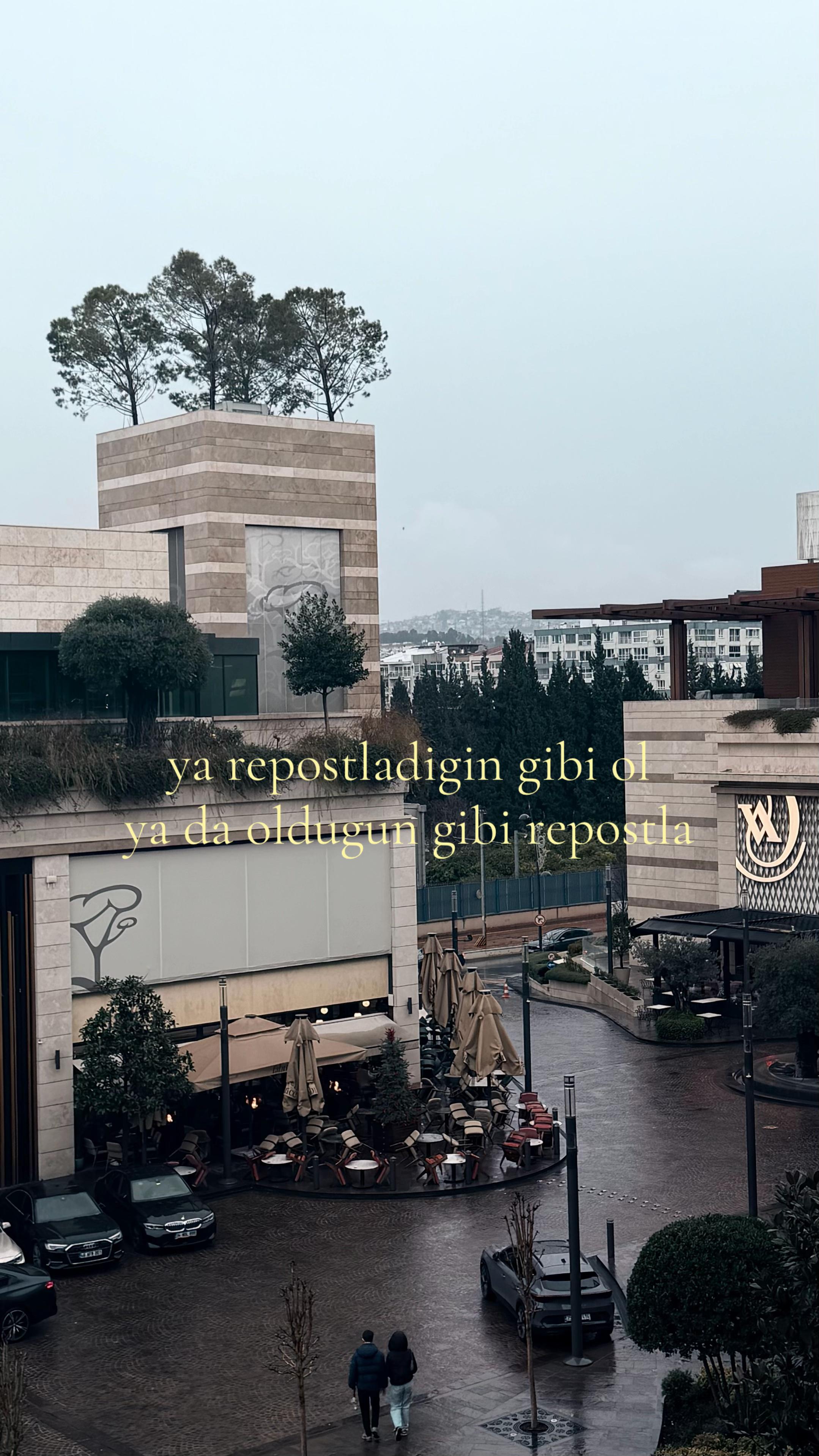 @alp