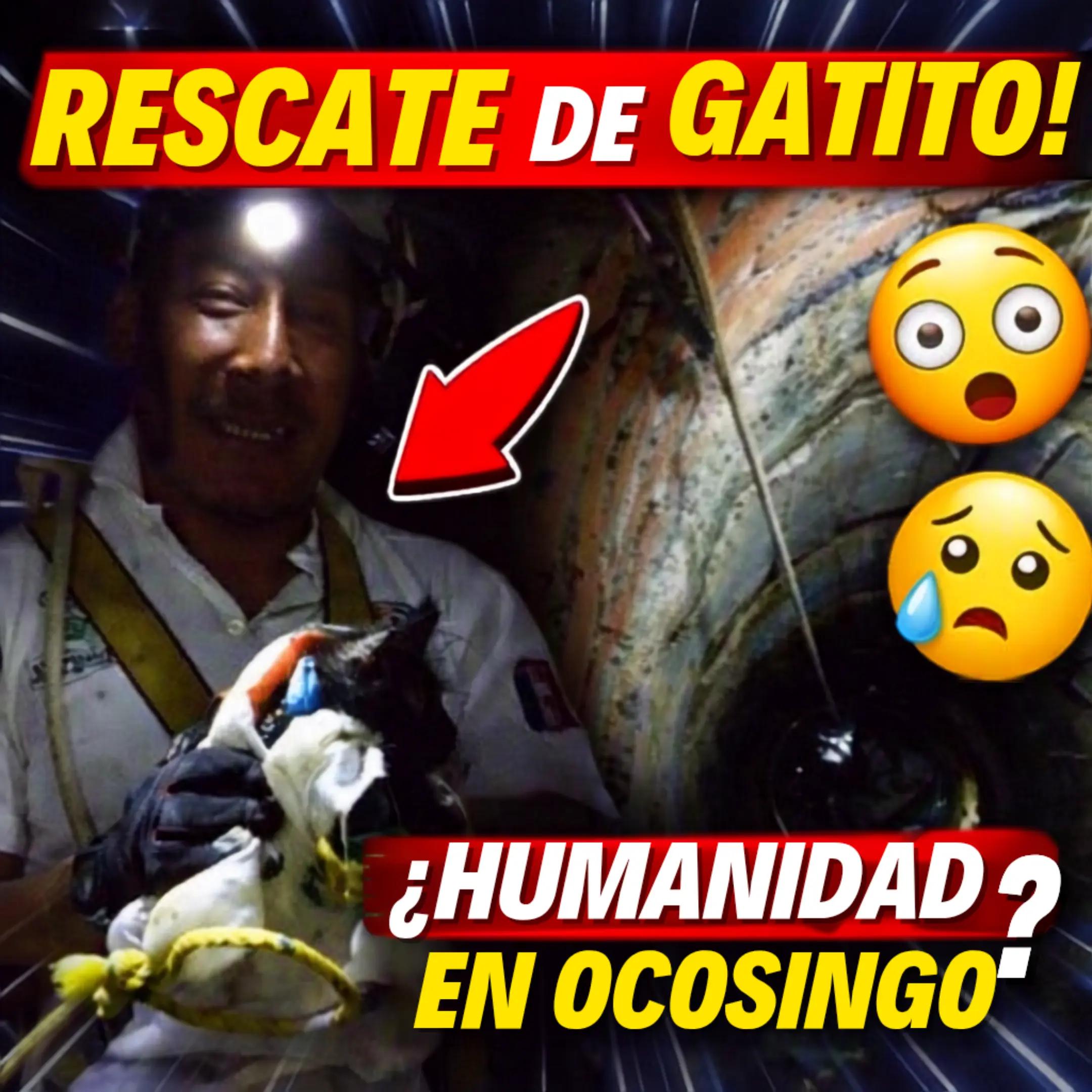 @Epicentro Noticias
