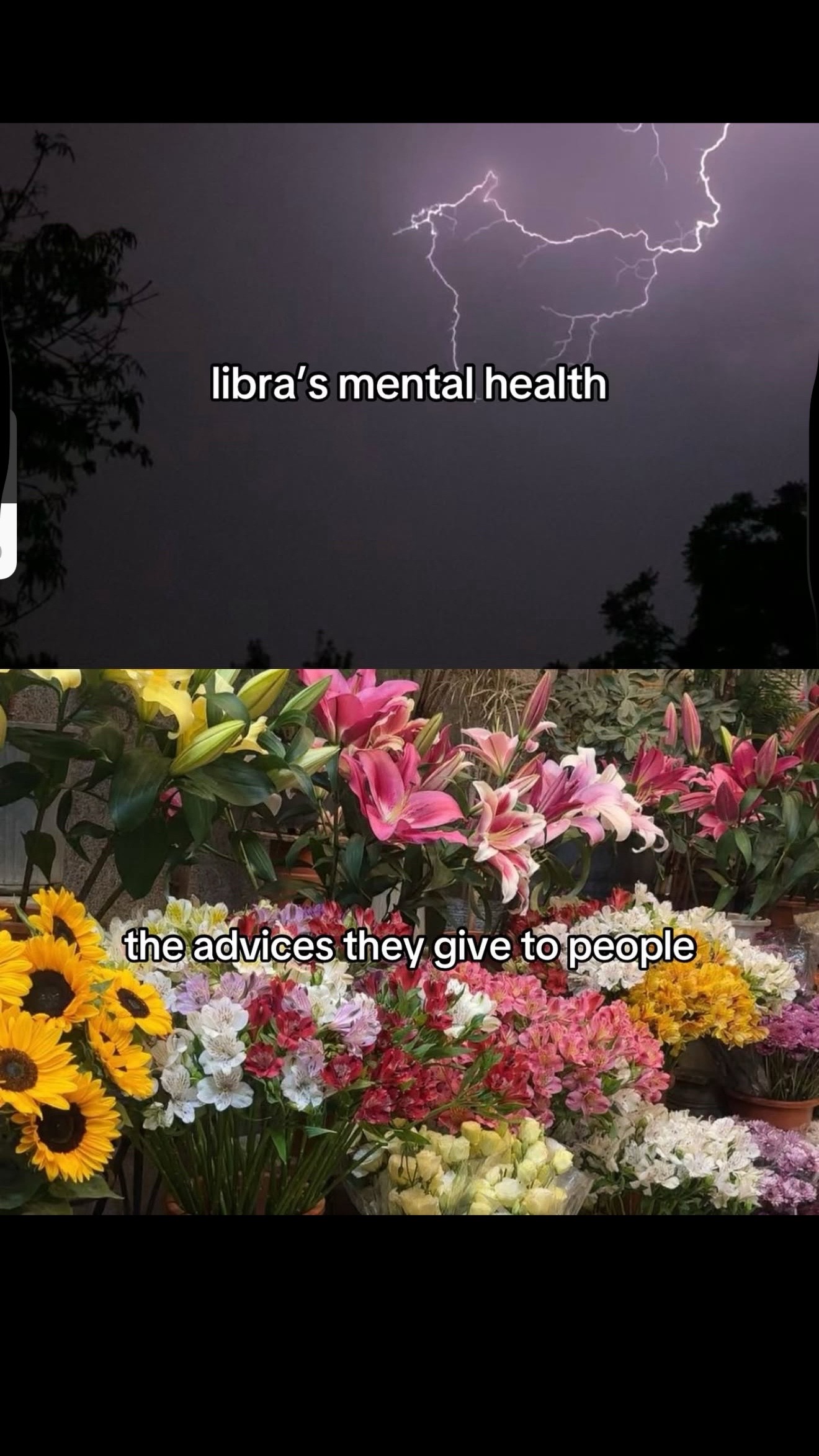 @BalancedLibras