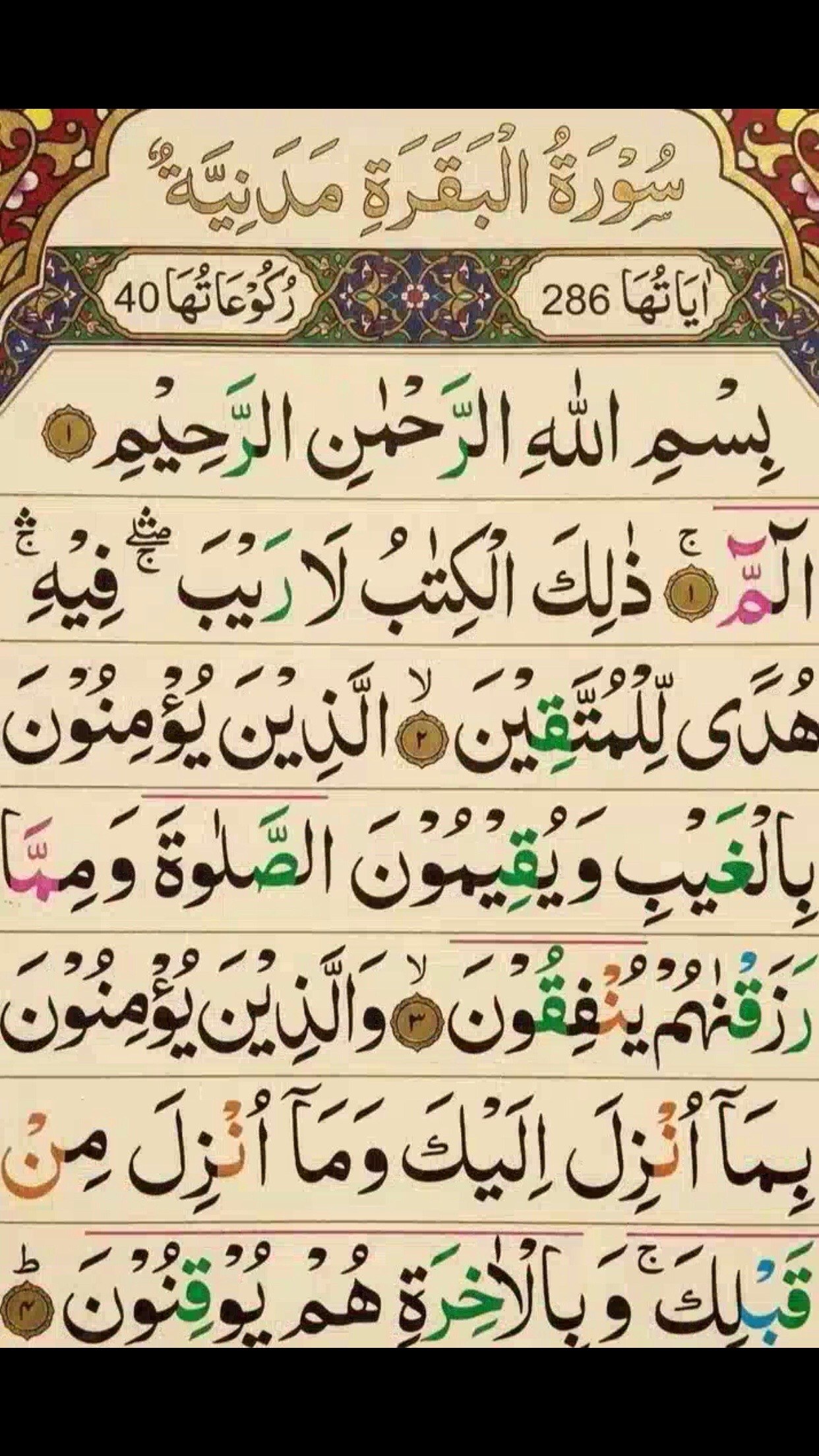 @sardarjunaid8