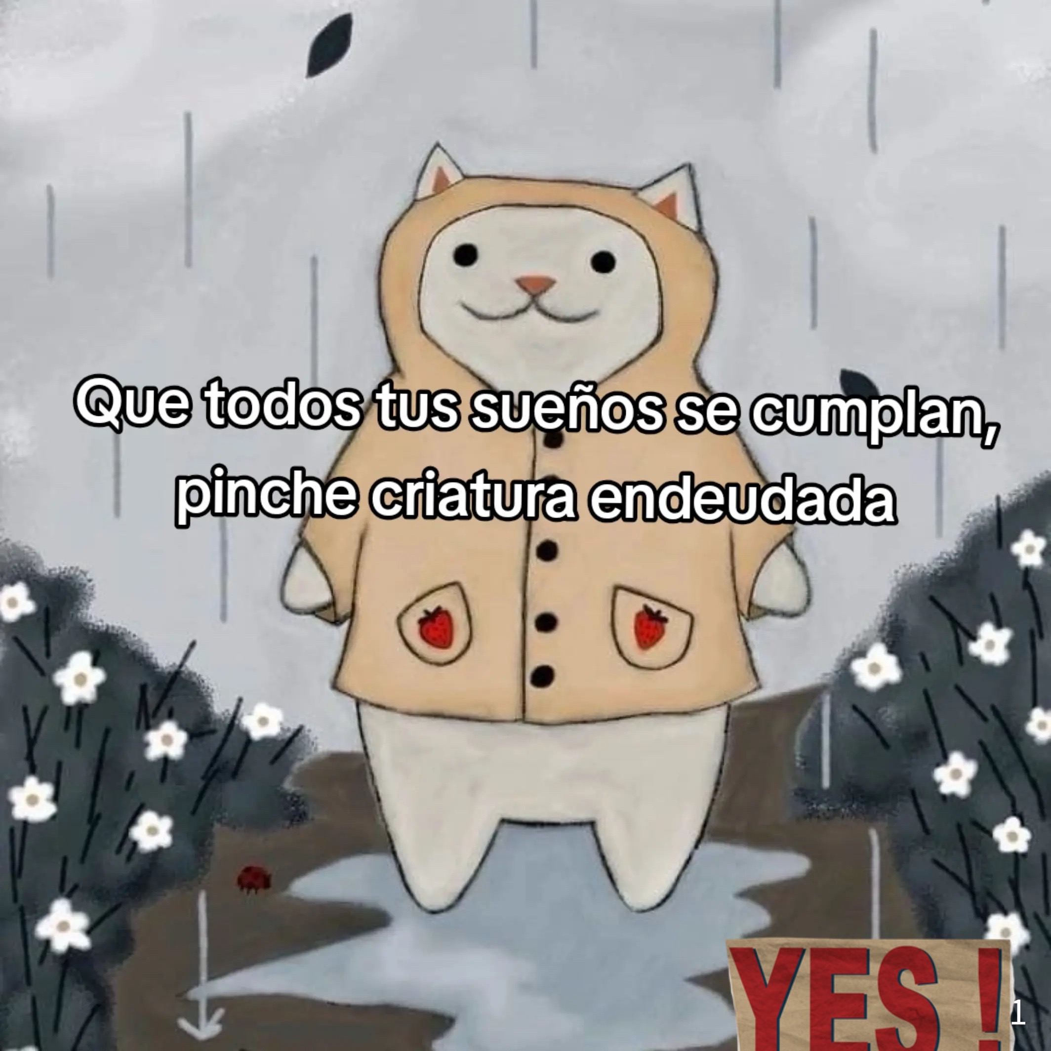 @🖤Butter cup Y🎶