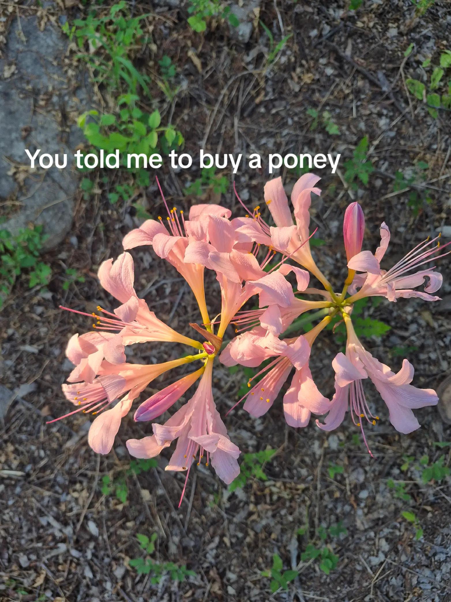 @Taylor.-.
