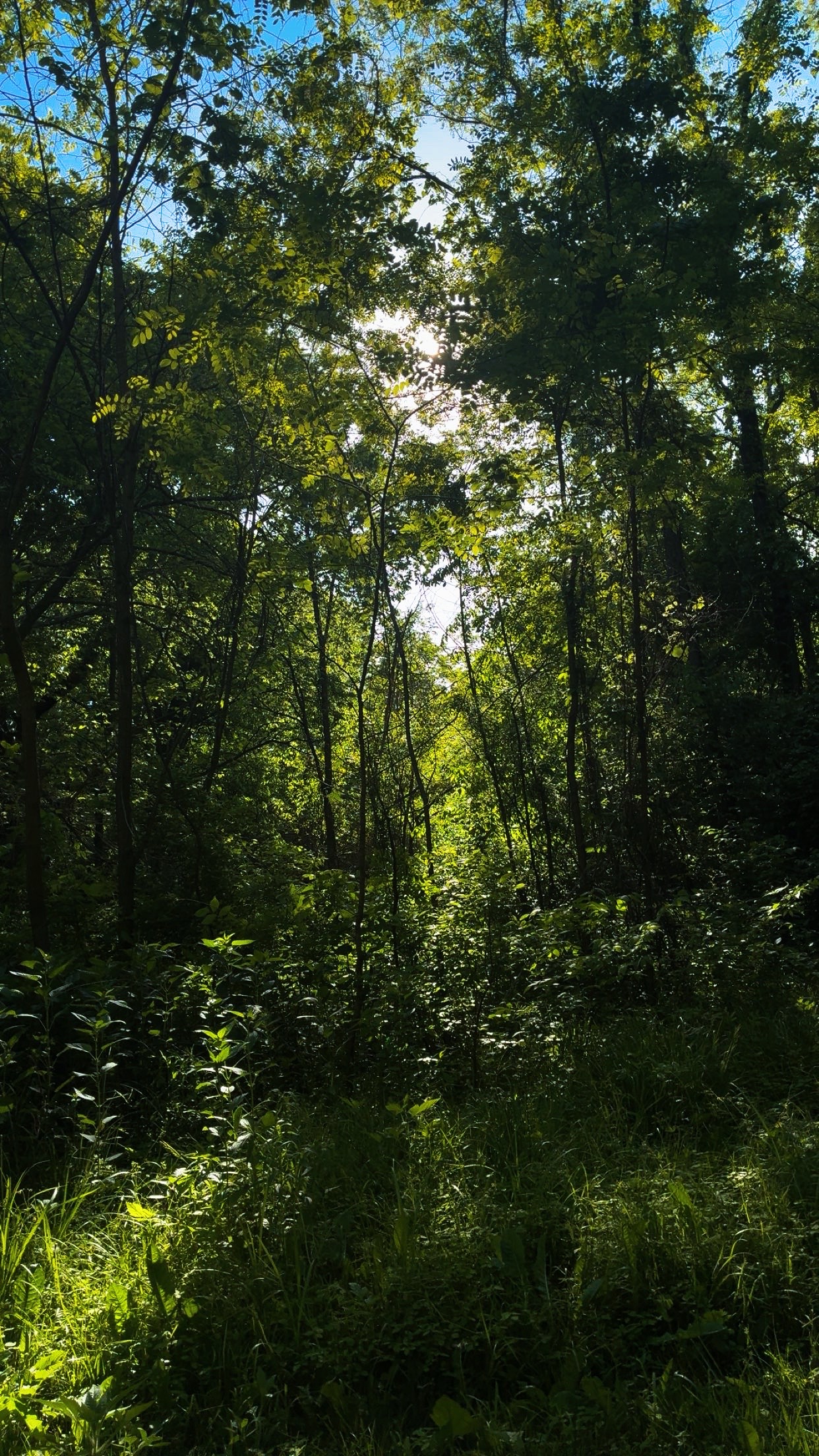 @🔆