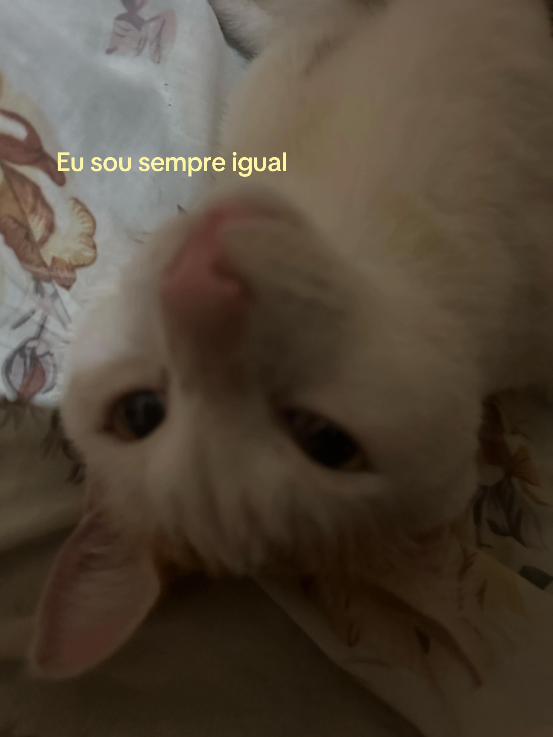 @ๆ โ๐บ๐๐๐๐ `ใ
!