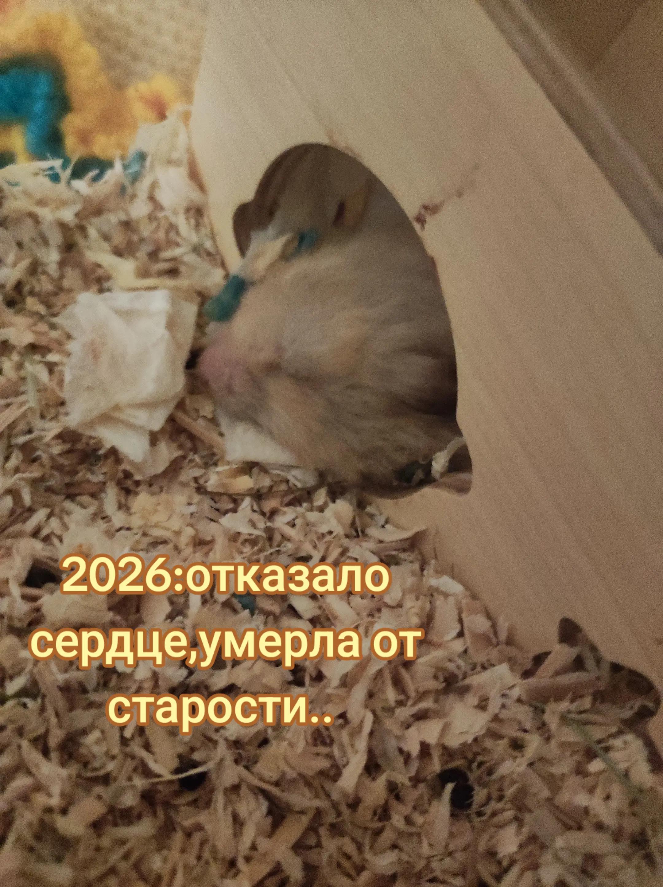 @𝑚𝑒𝑜𝑤𝑤𝑞ྀི_887𐙚
