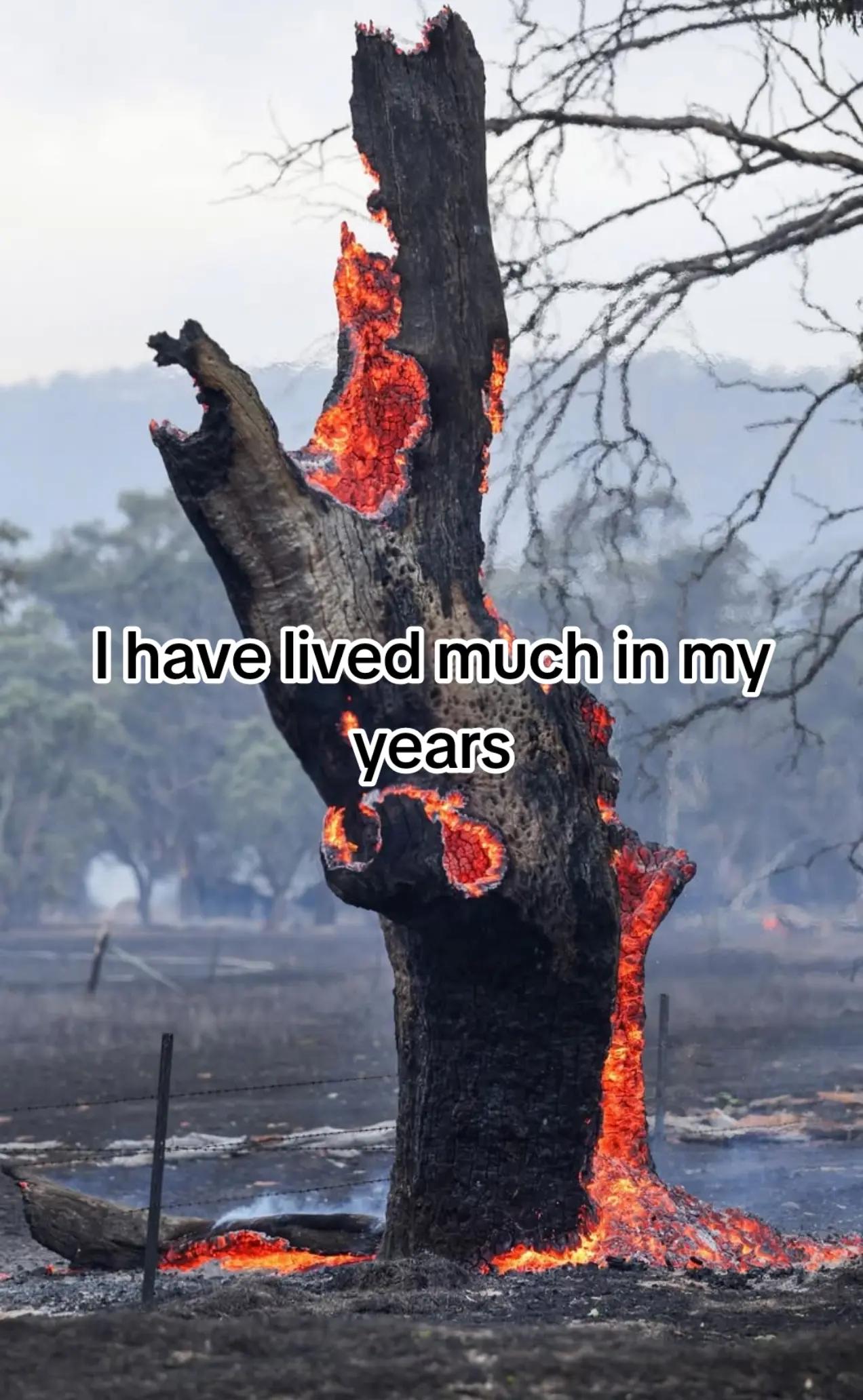 @Draugr Virduligr