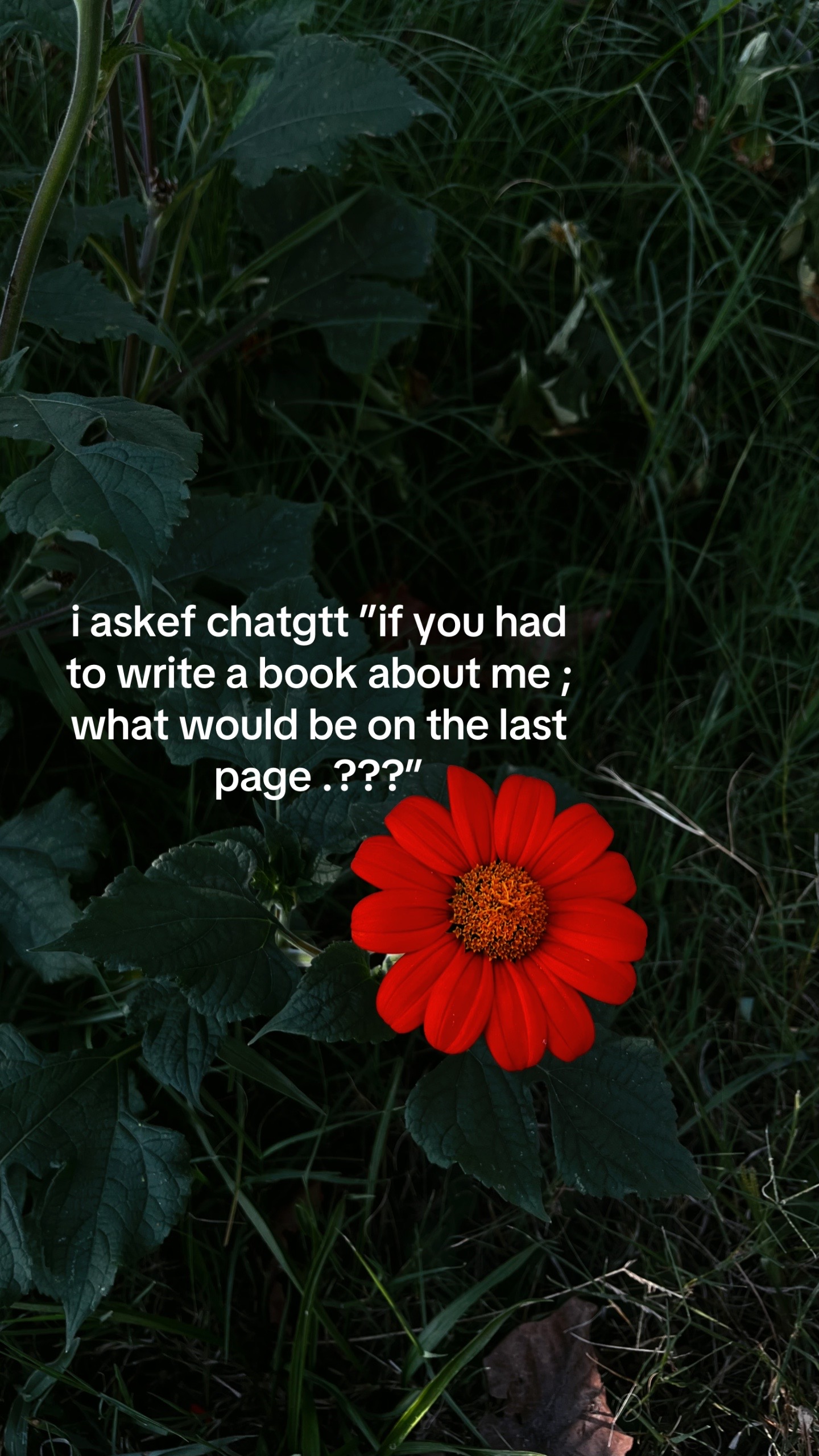 @mommy