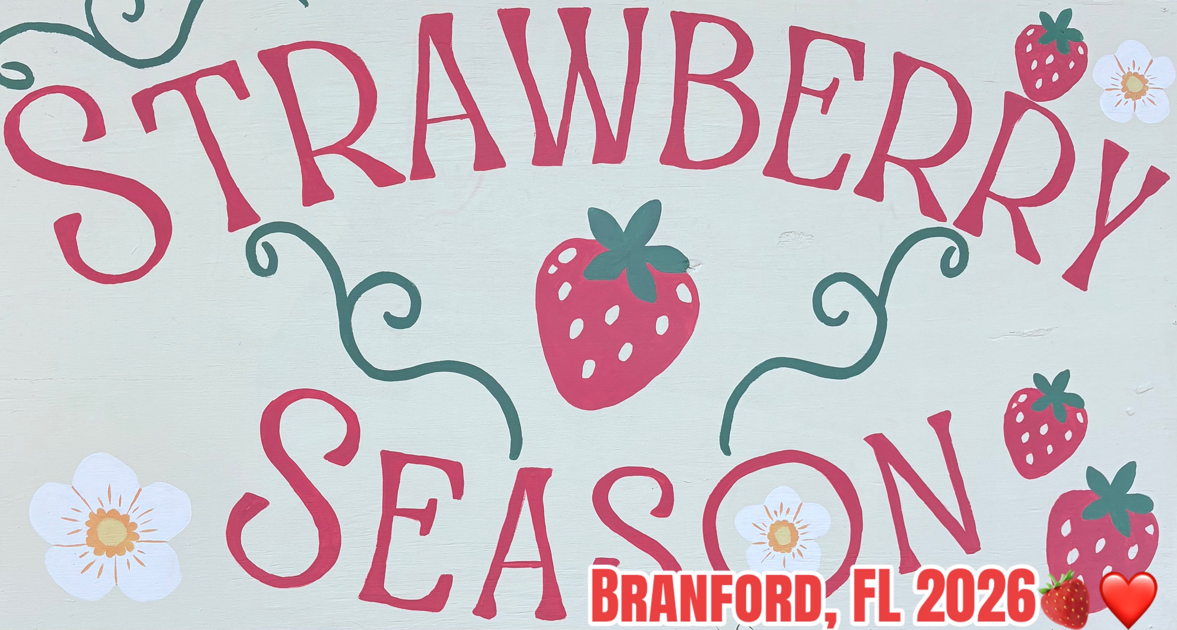 @Branford Farm Stand☀️