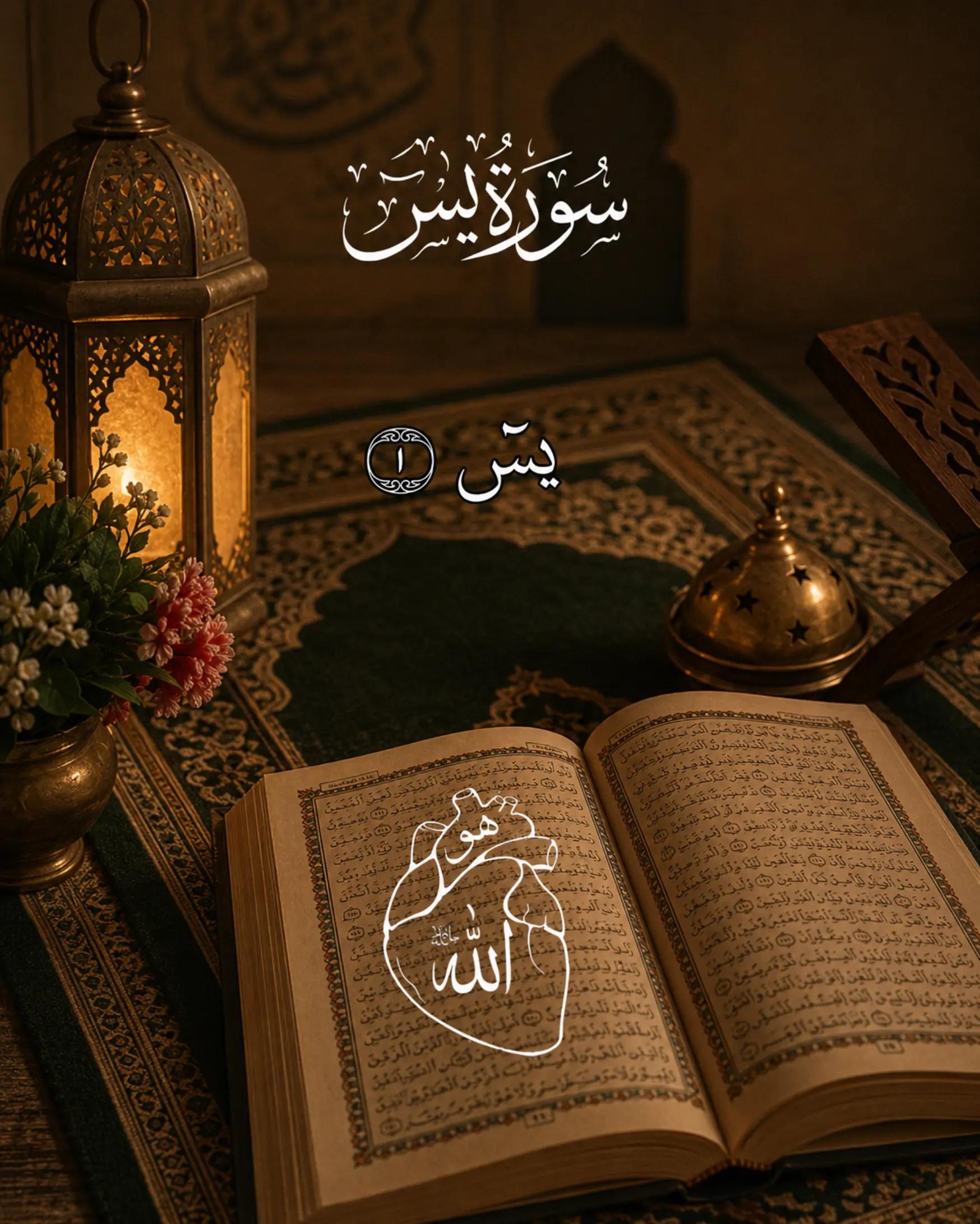 @Alfa Alif 001