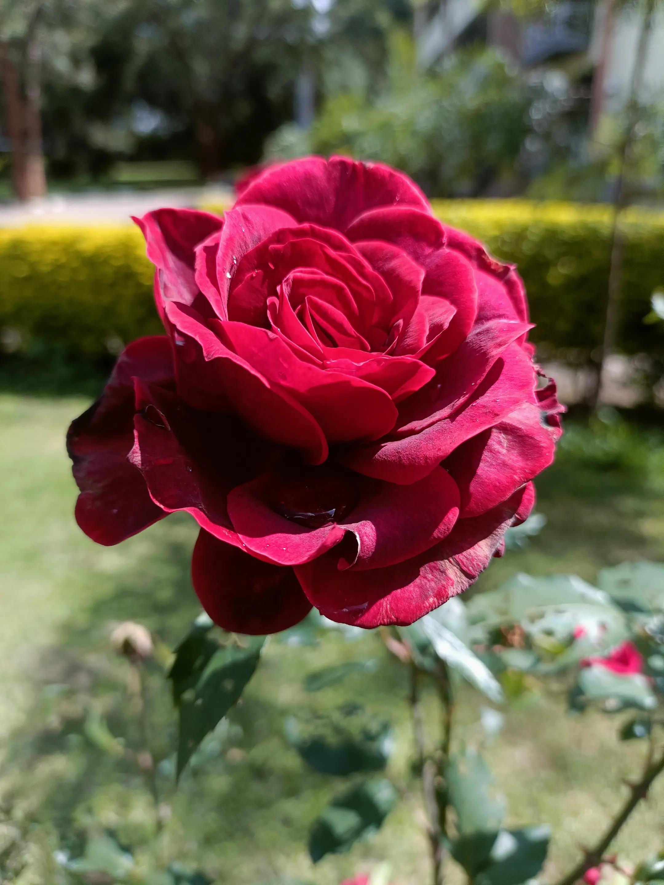 @marykimani761