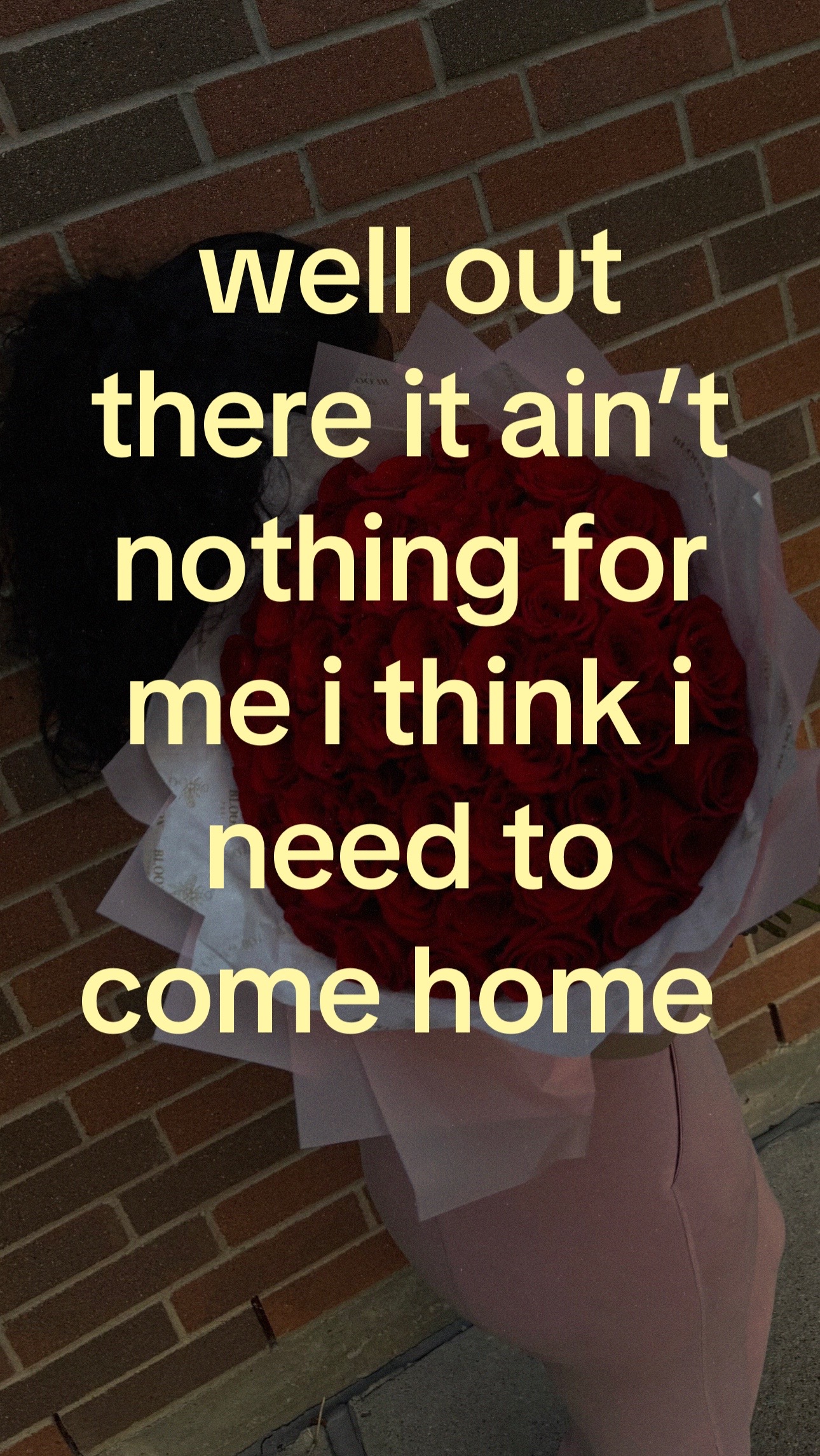 @tyla wyla