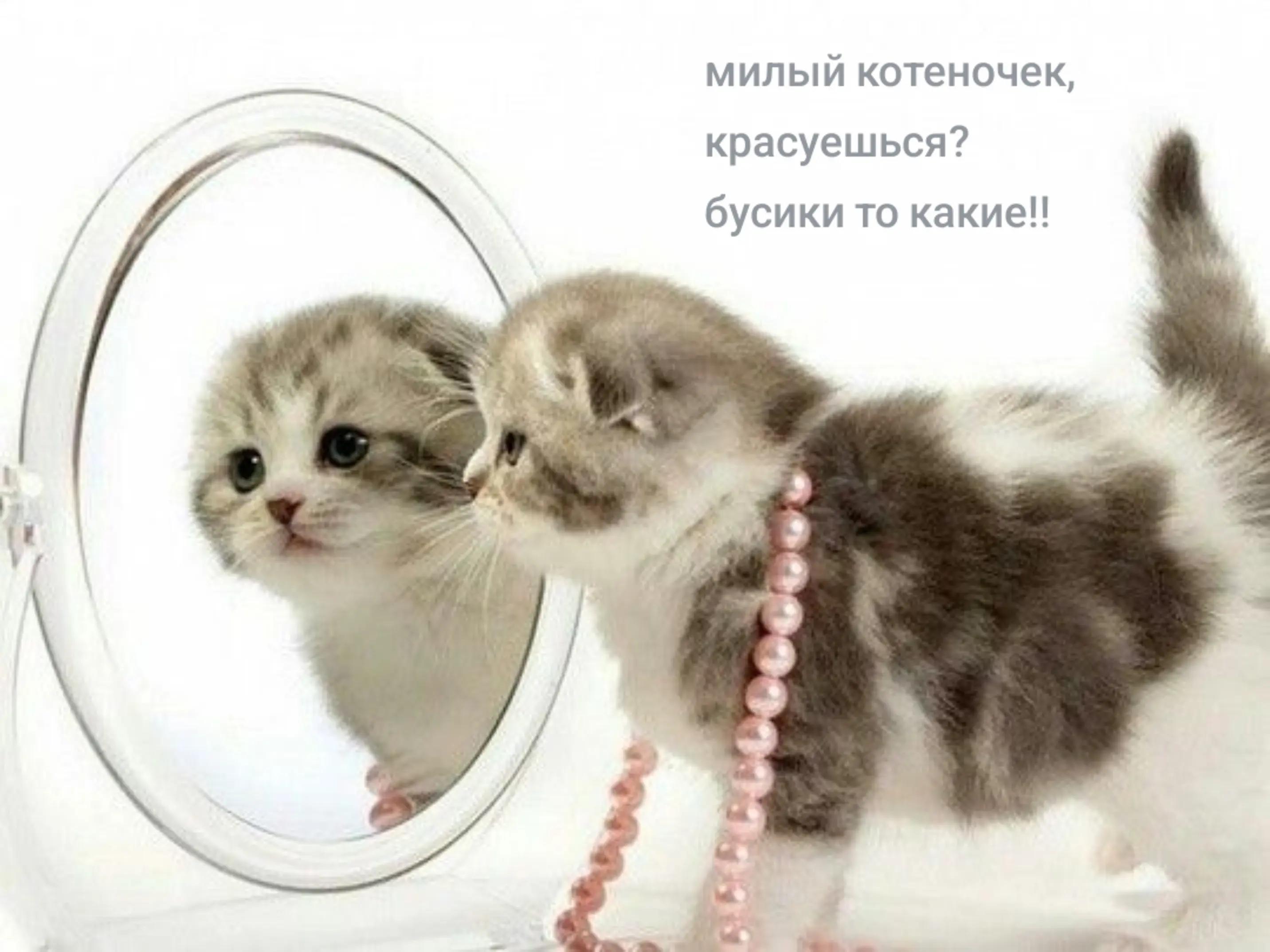 @блогер кича
