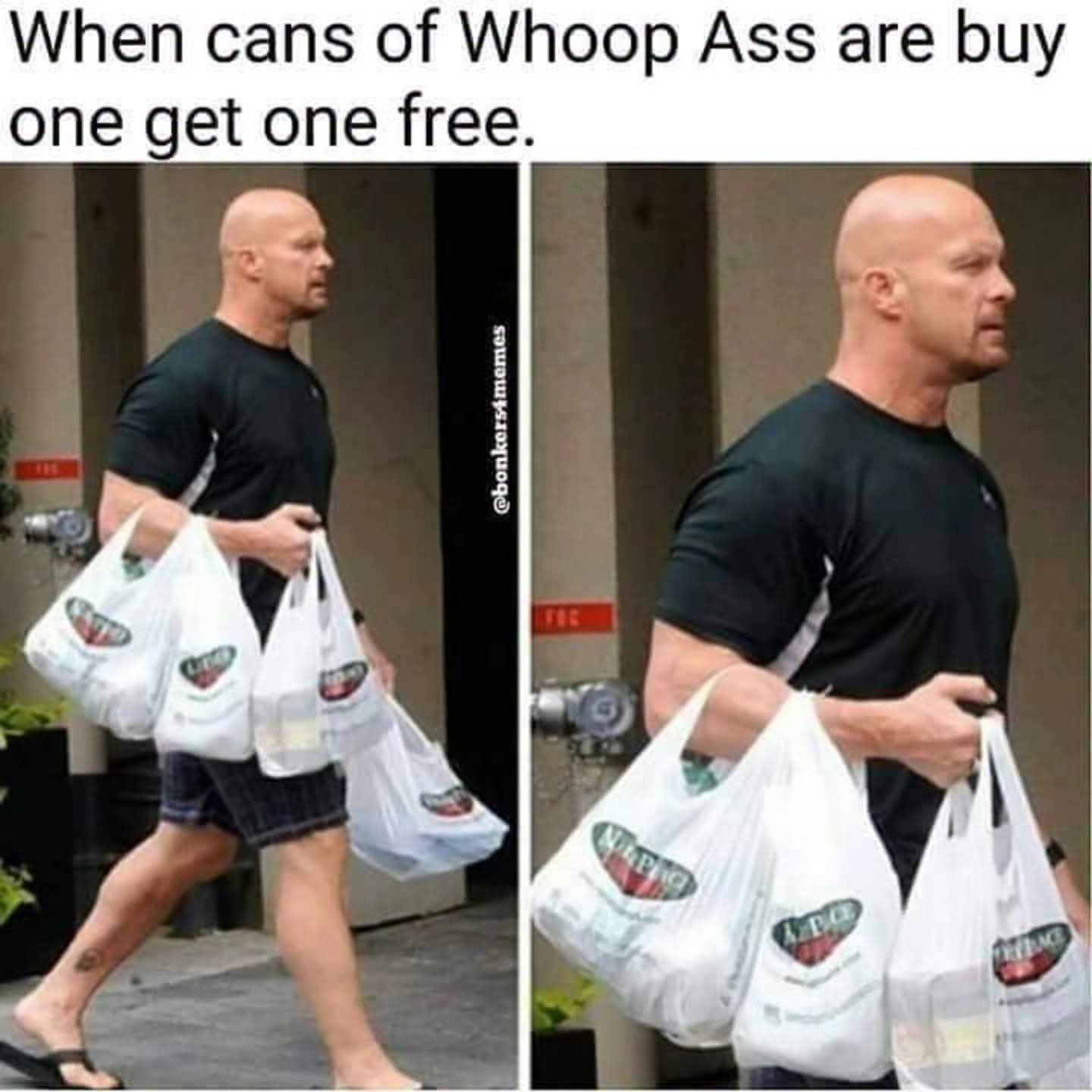 @Swamp Beast