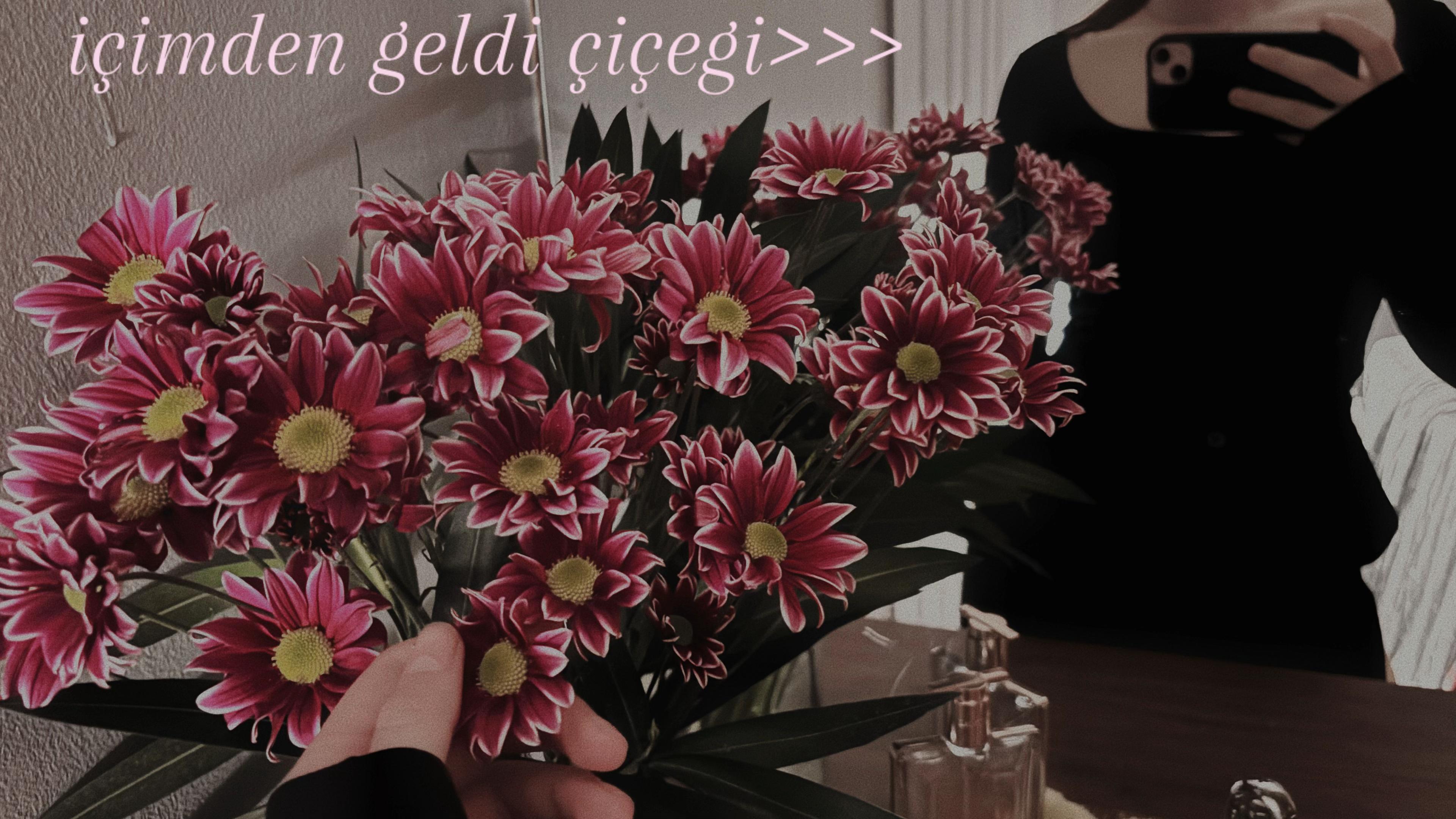 @𝒱𝑒𝓁𝓂𝒾𝓇𝒶