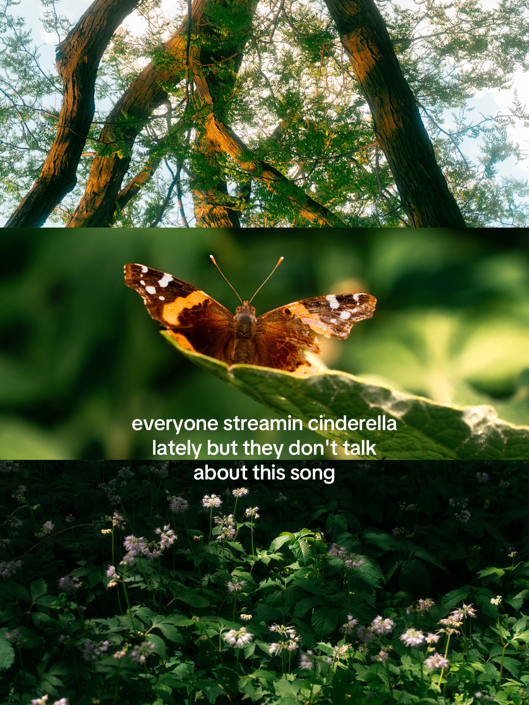 @jo 🌱