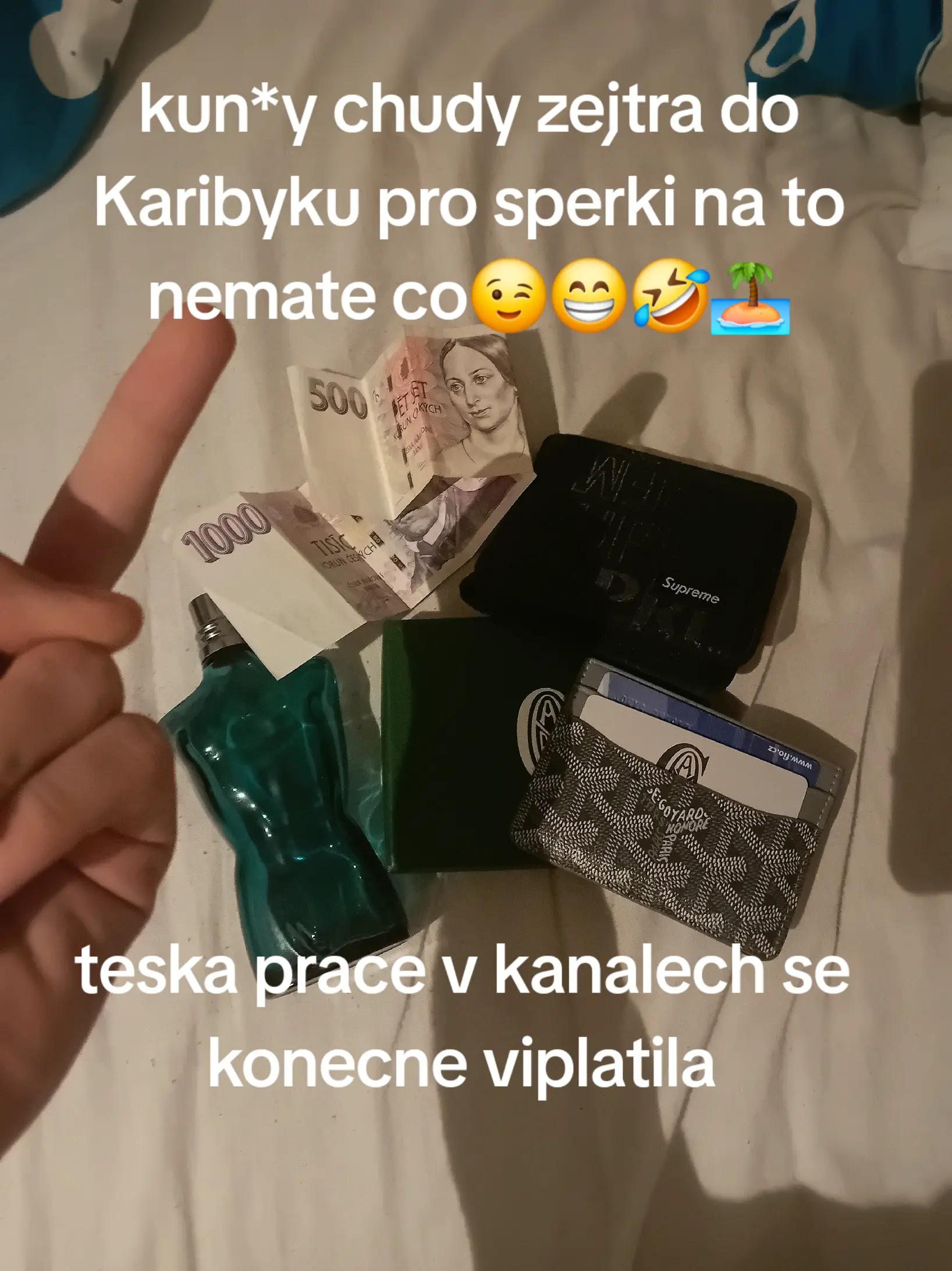@troskazluzin