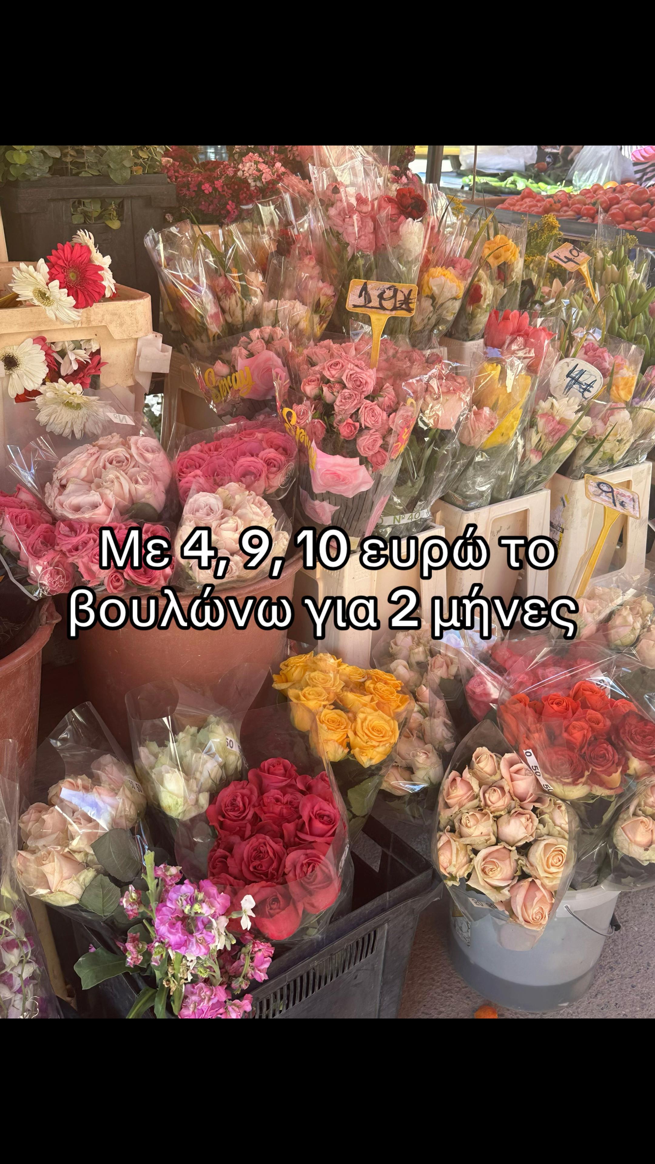 @melinaksez
