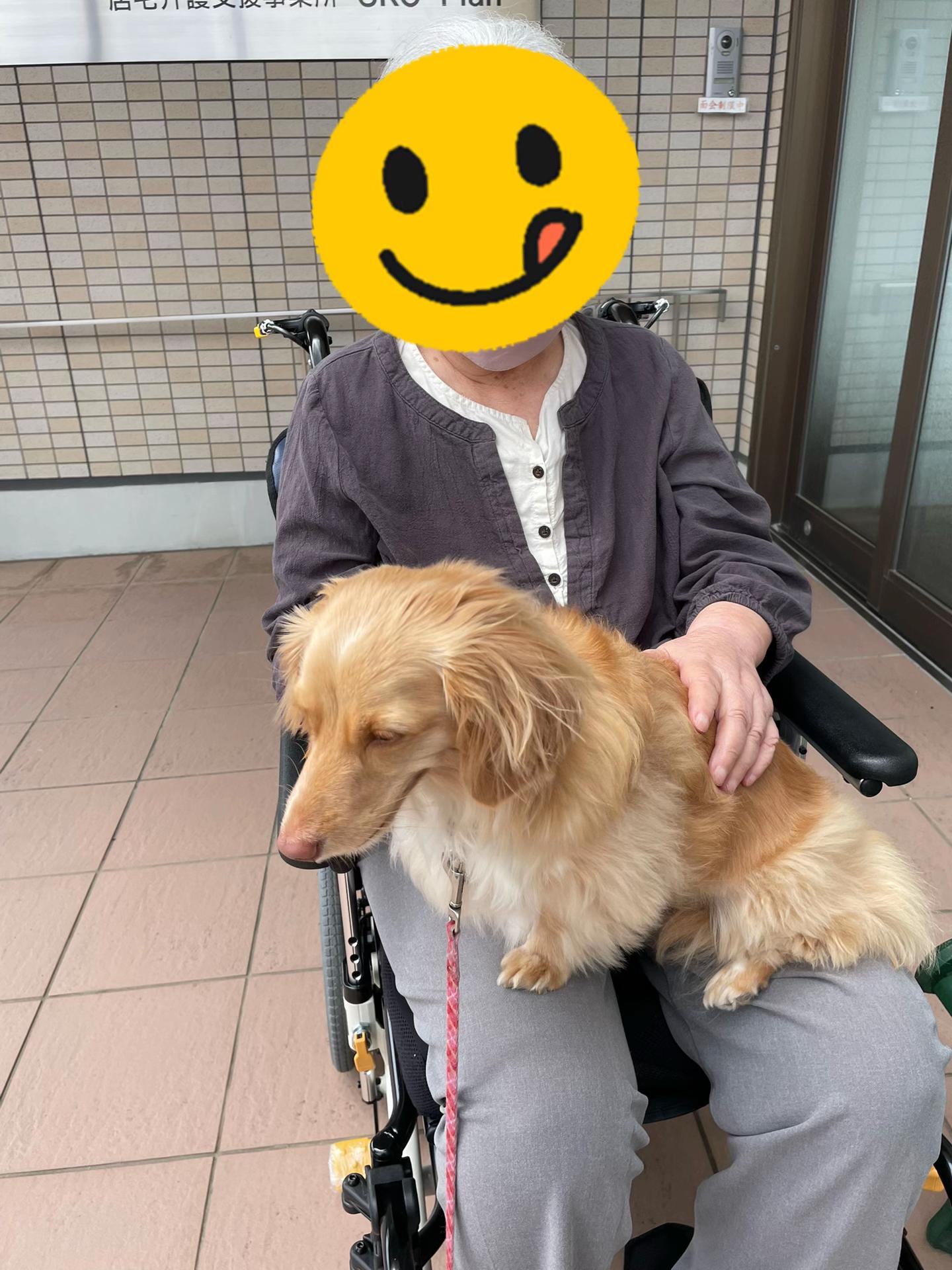 @櫻葉