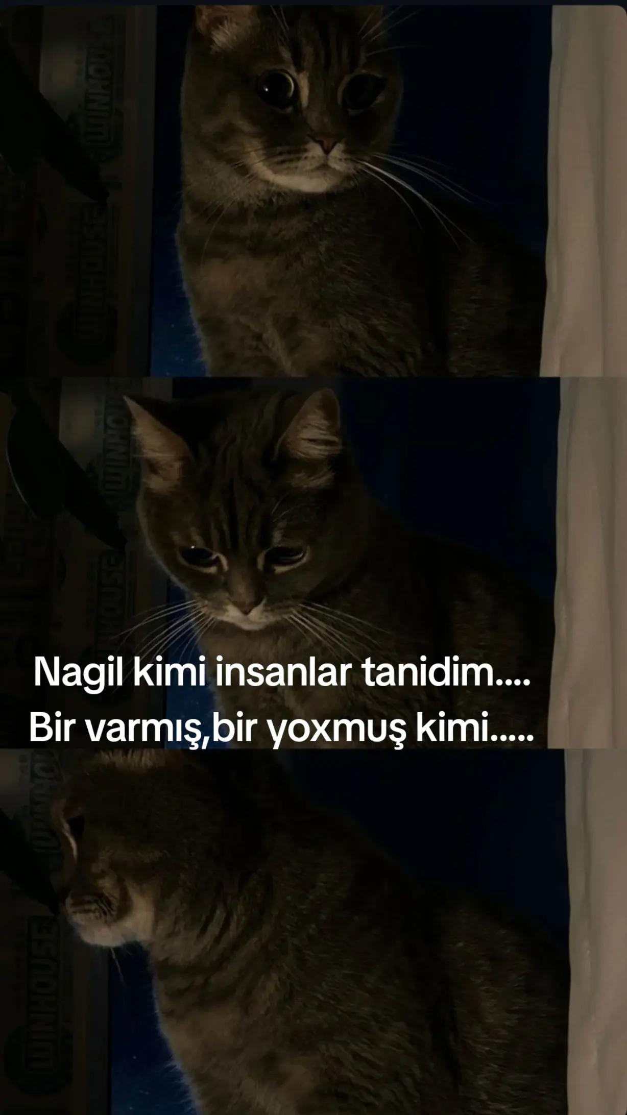@scorpion