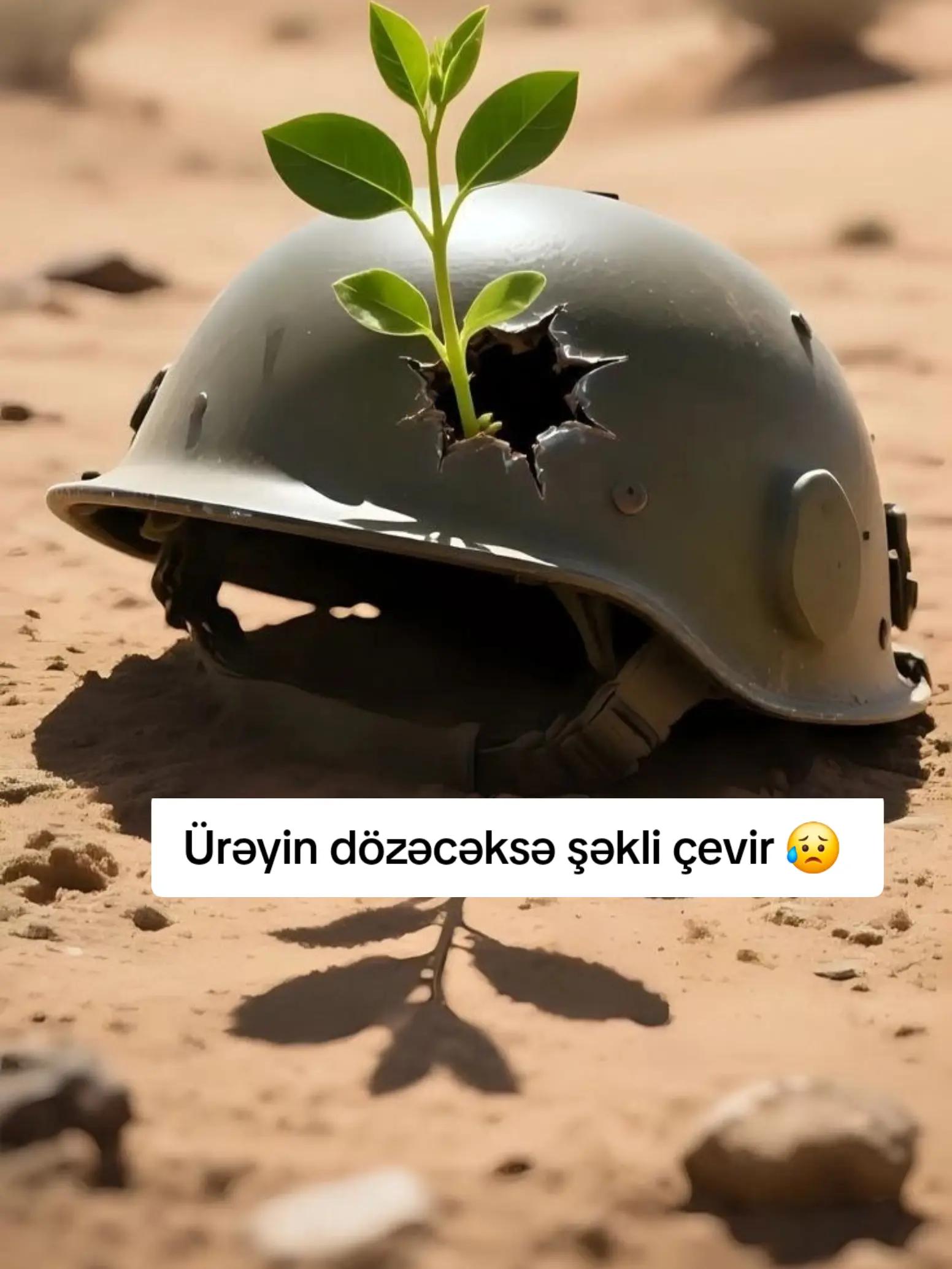 @⚔️_✺νєтєηqιʑι✺_🇦🇿