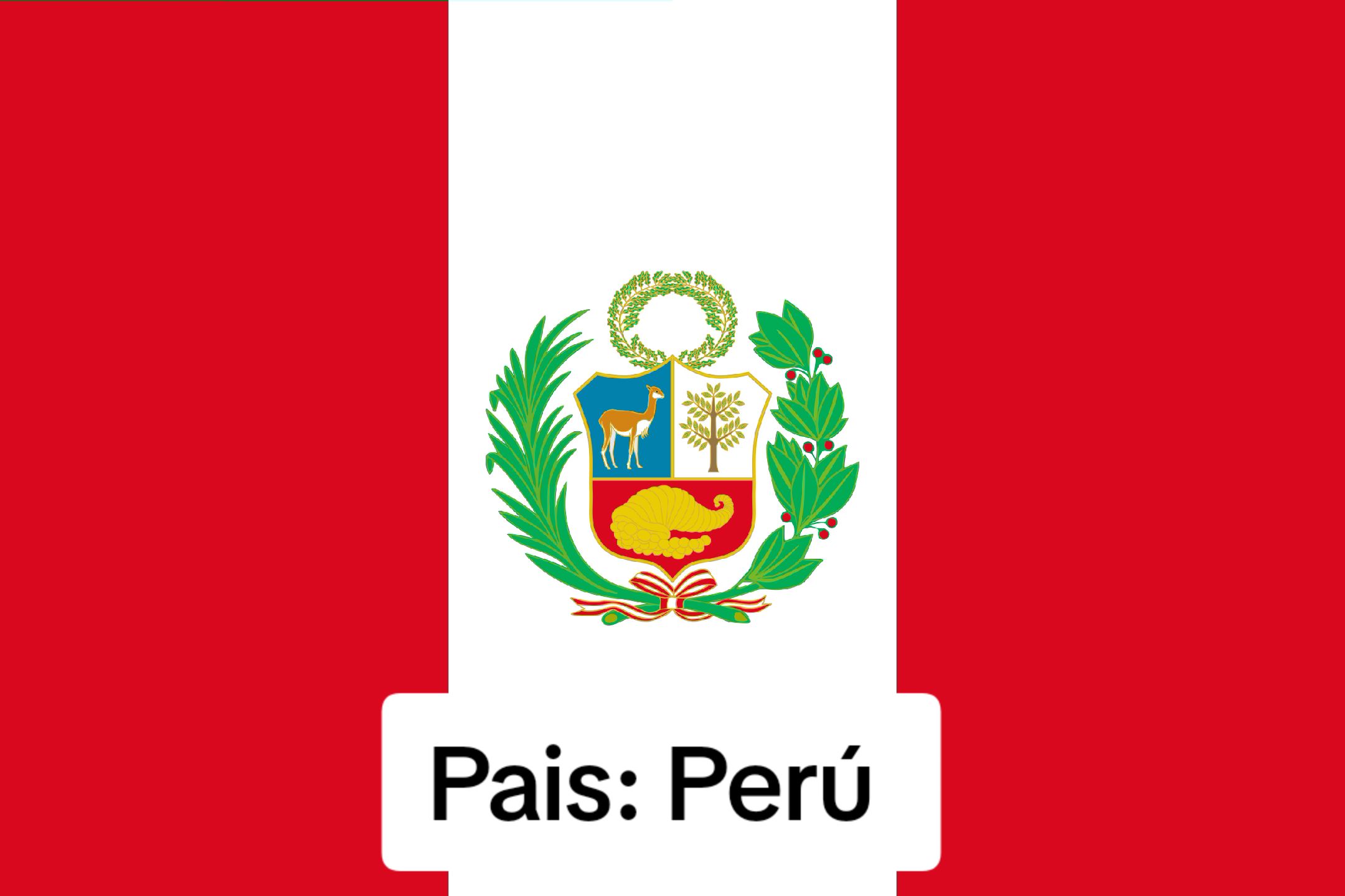 @PERUVIAN_CITY 🇵🇪🥰