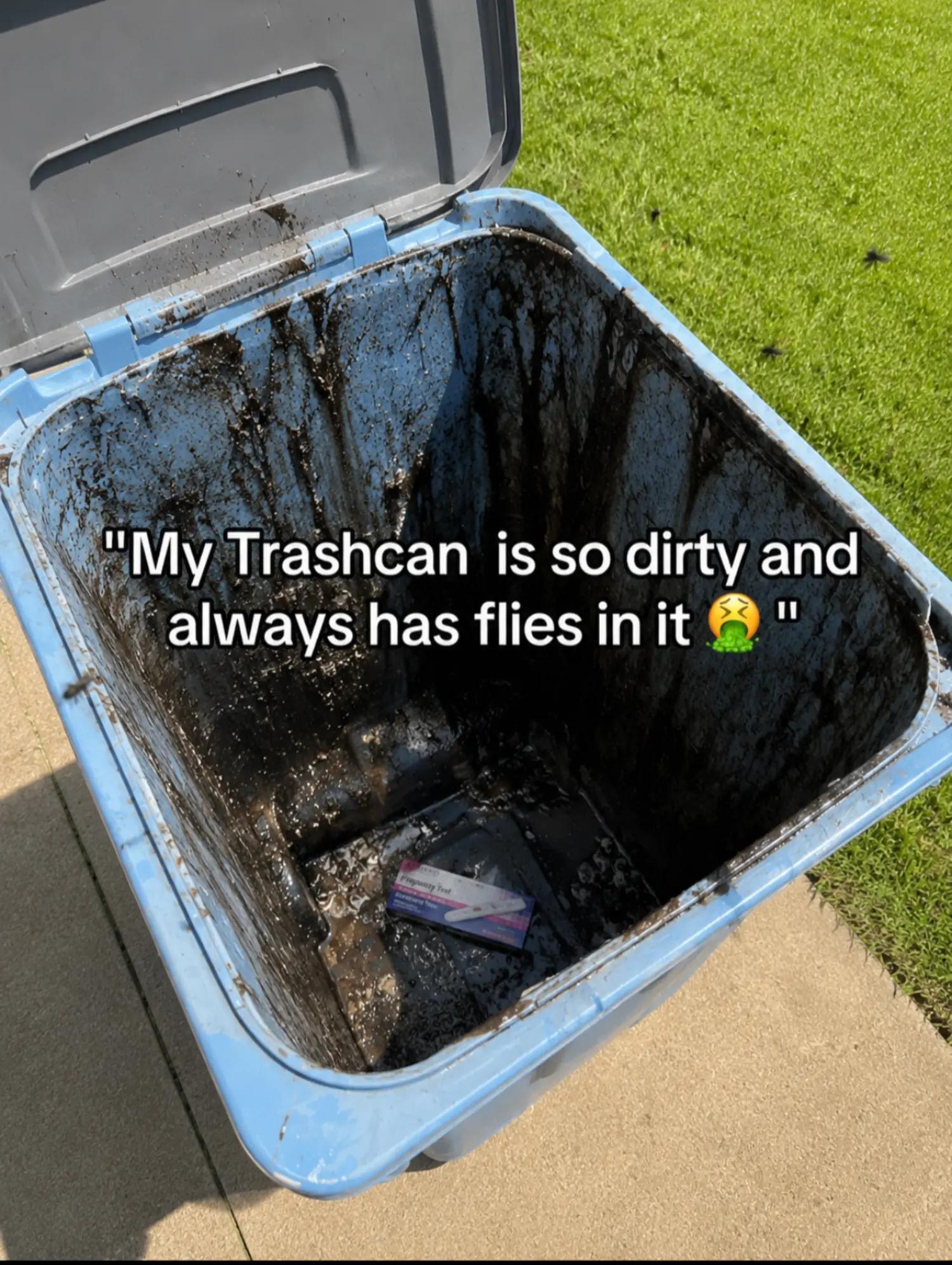 @everyonesuddenlyvoice