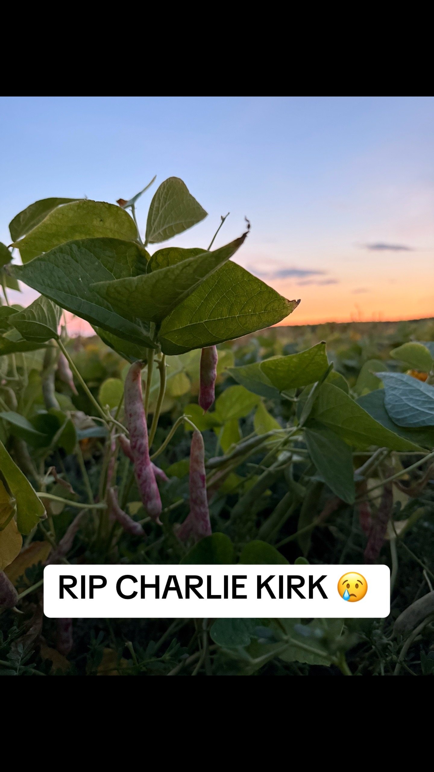 @American_farm