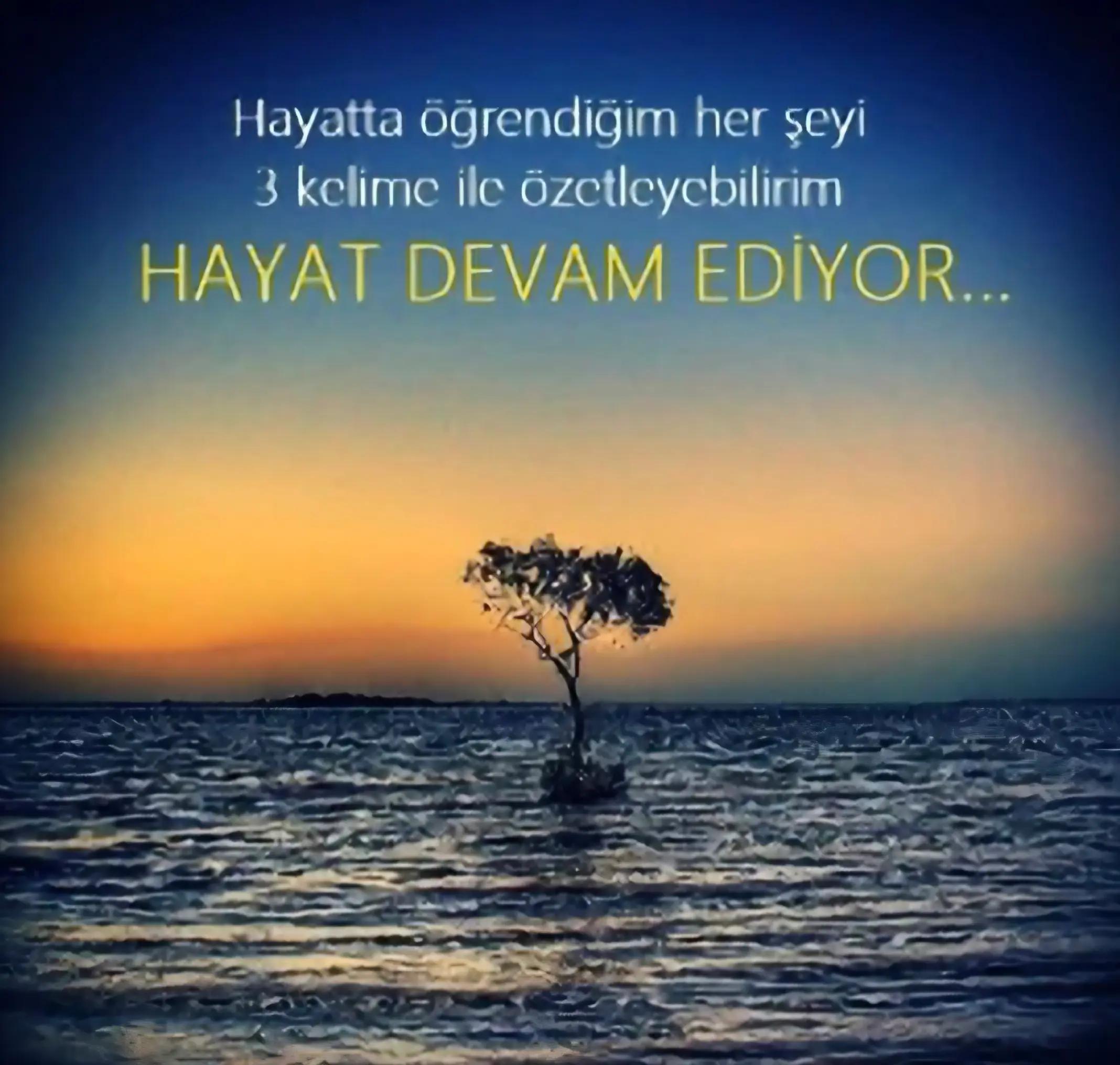 @kara Murat
