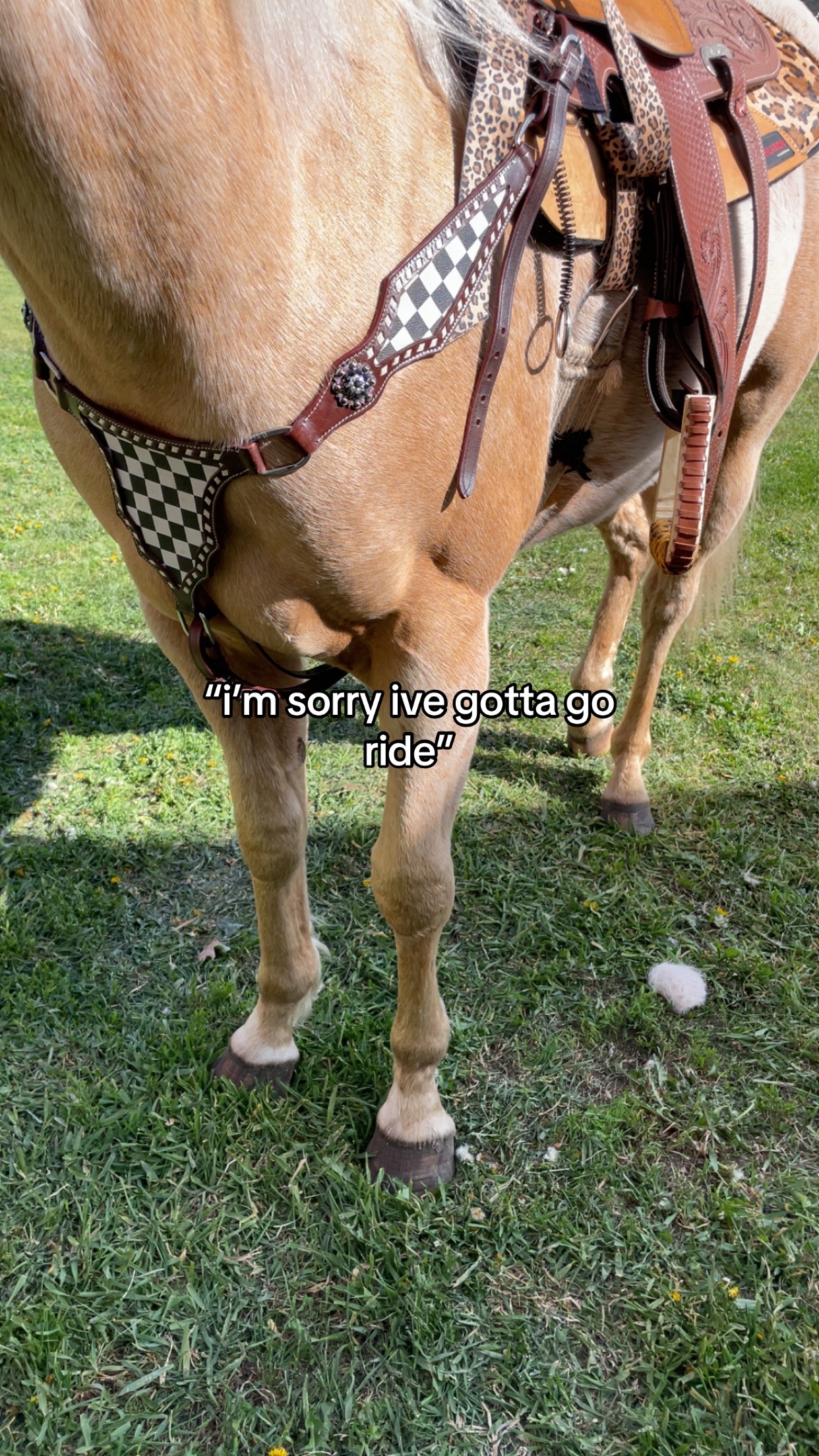 @☆ary (Esha Tewaris version)☆