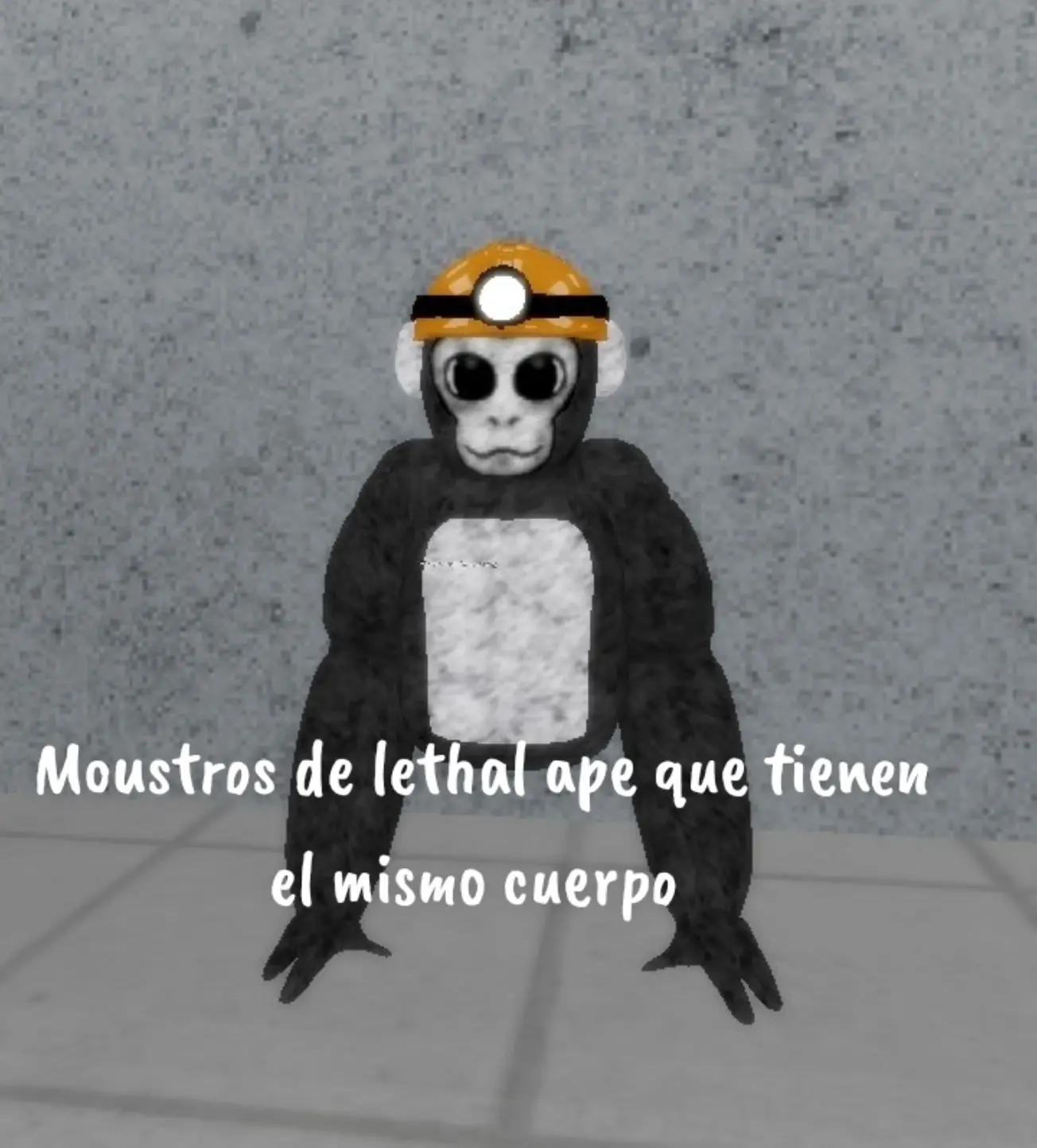 @TocinitoPlus